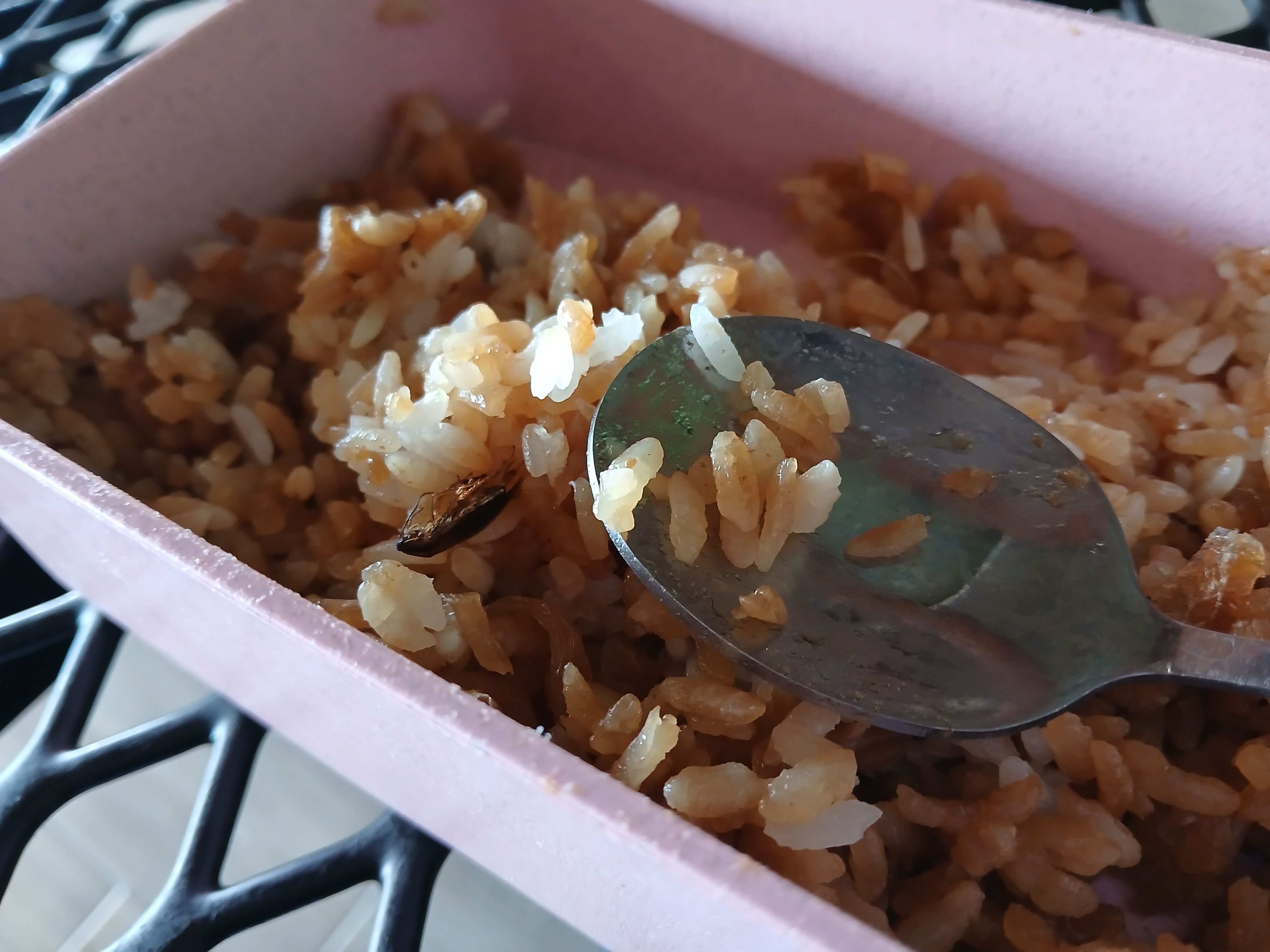 Tokai - La Rioja, Tlajomulco image 9