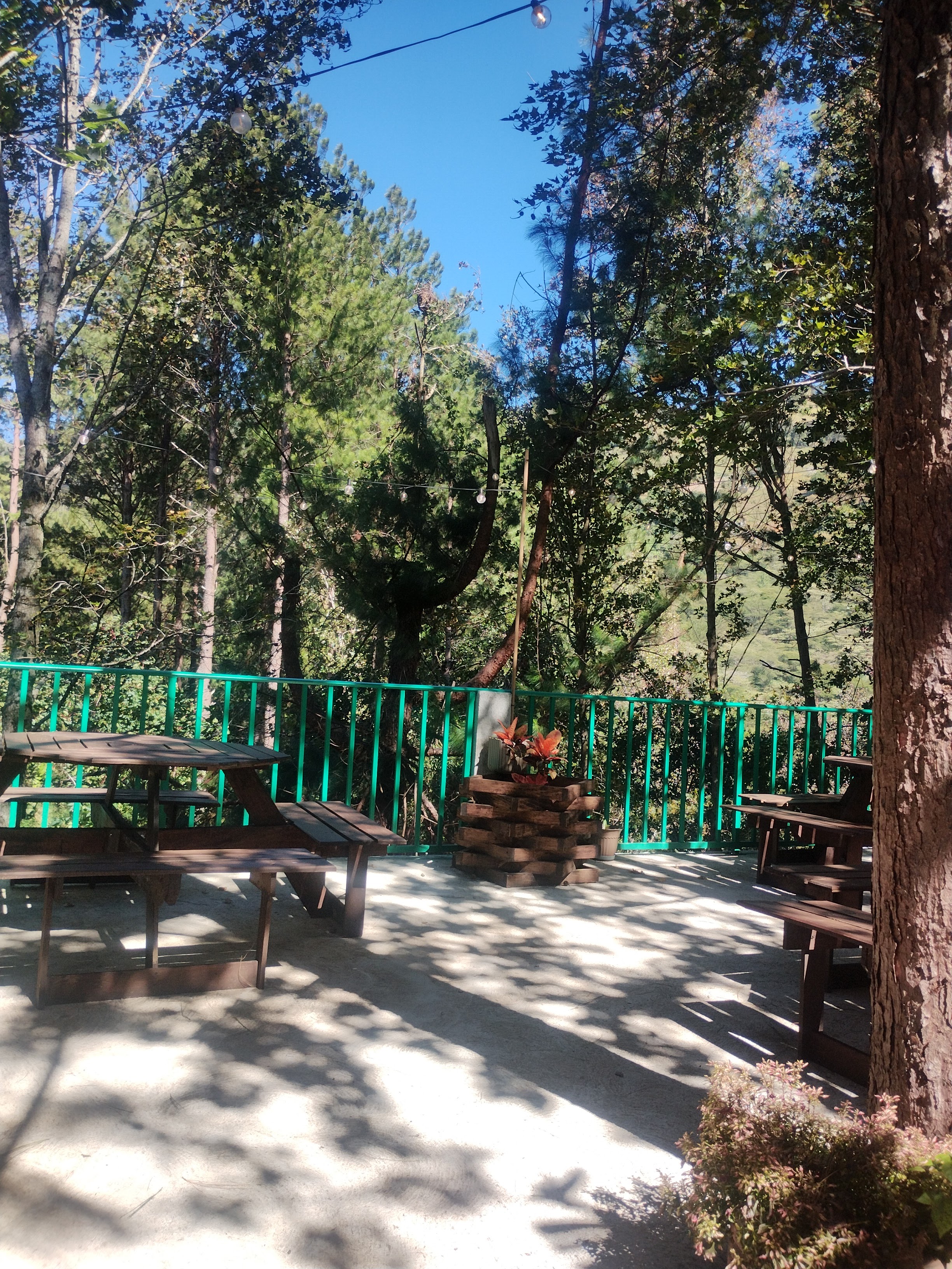 Restaurante "La Terraza" image 2