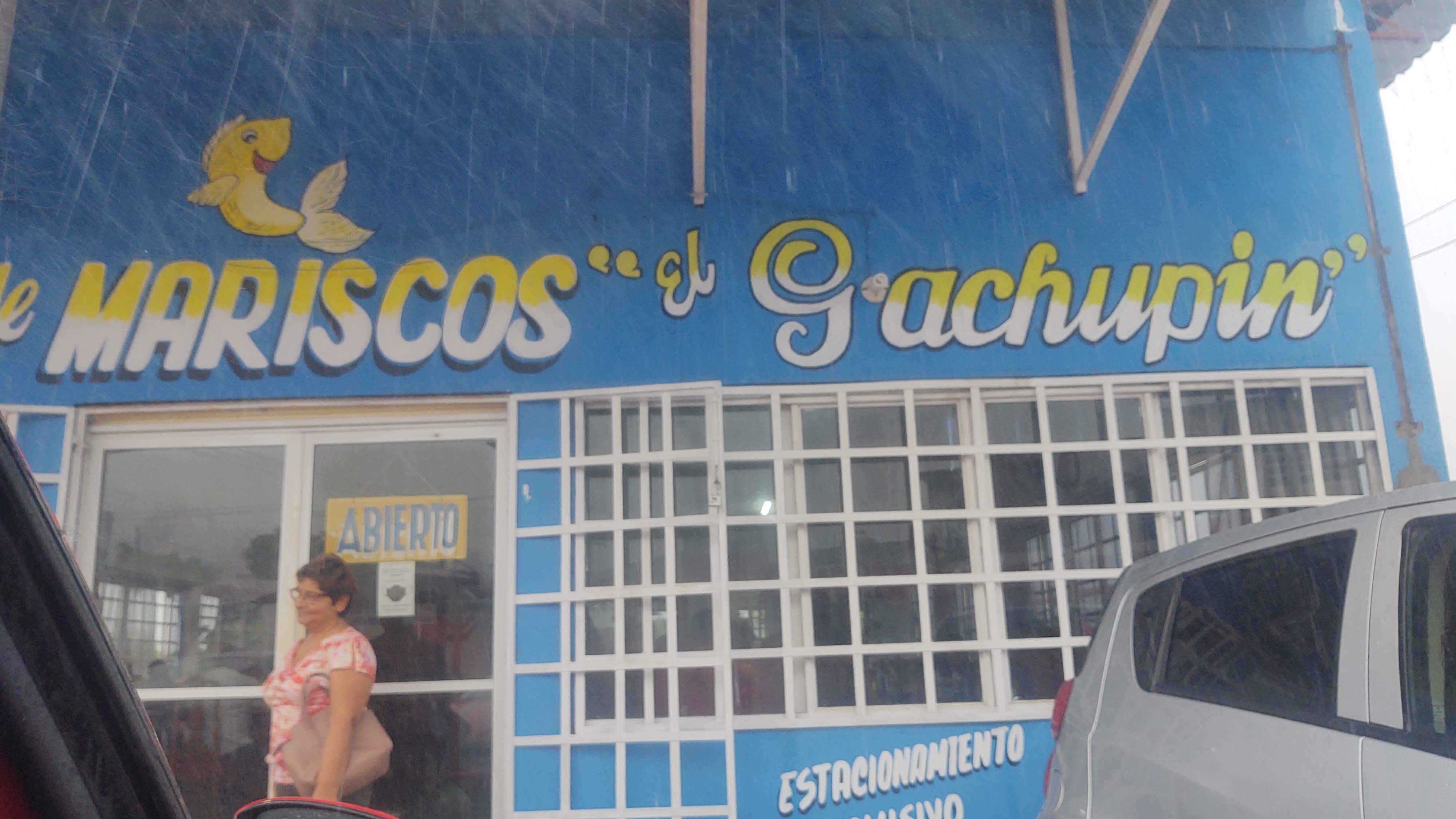 Restaurante de Mariscos El Gachupin image 8