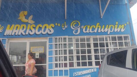 Restaurante de Mariscos El Gachupin image 8