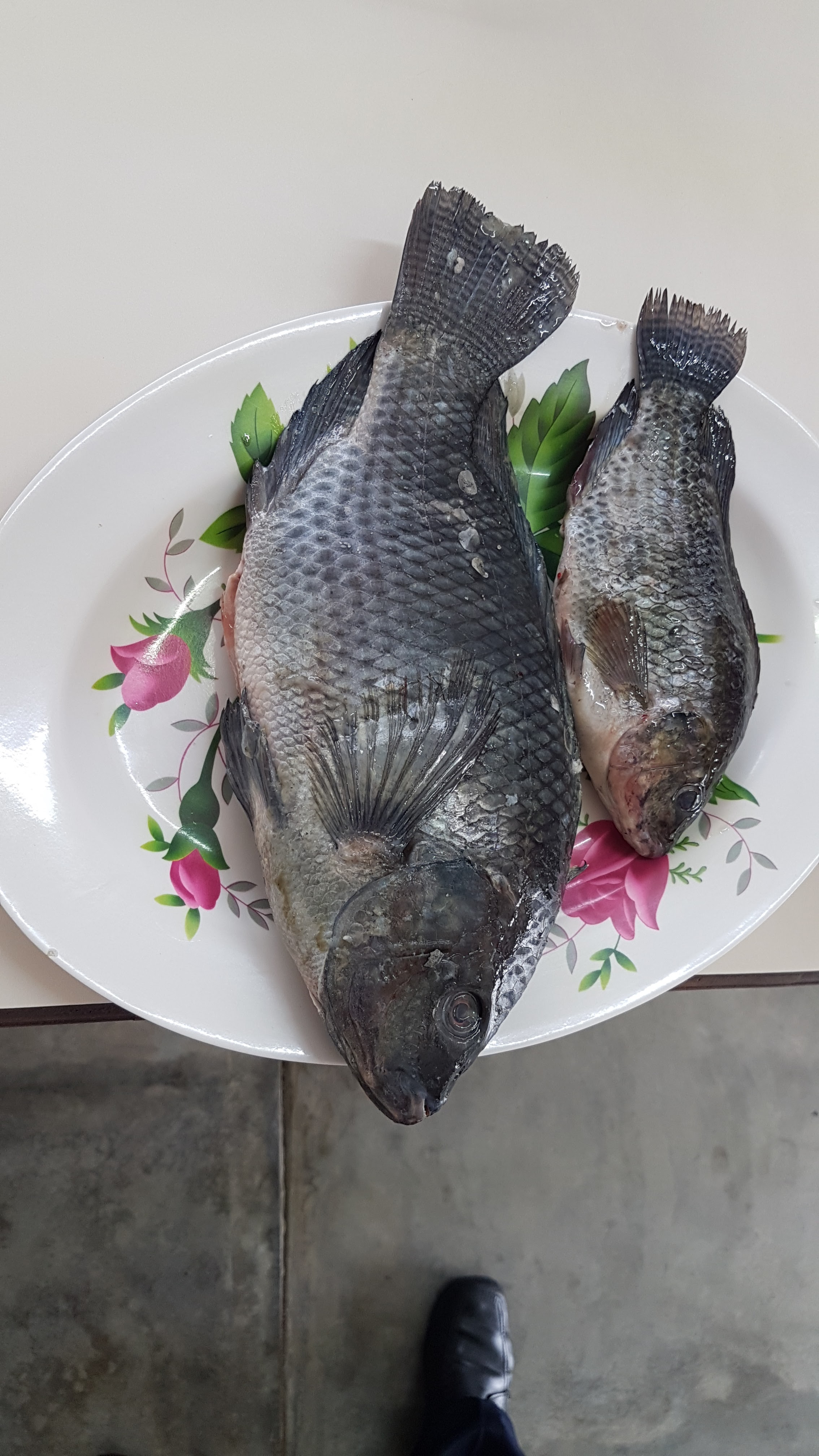 Restaurante de Mariscos El Gachupin image 9