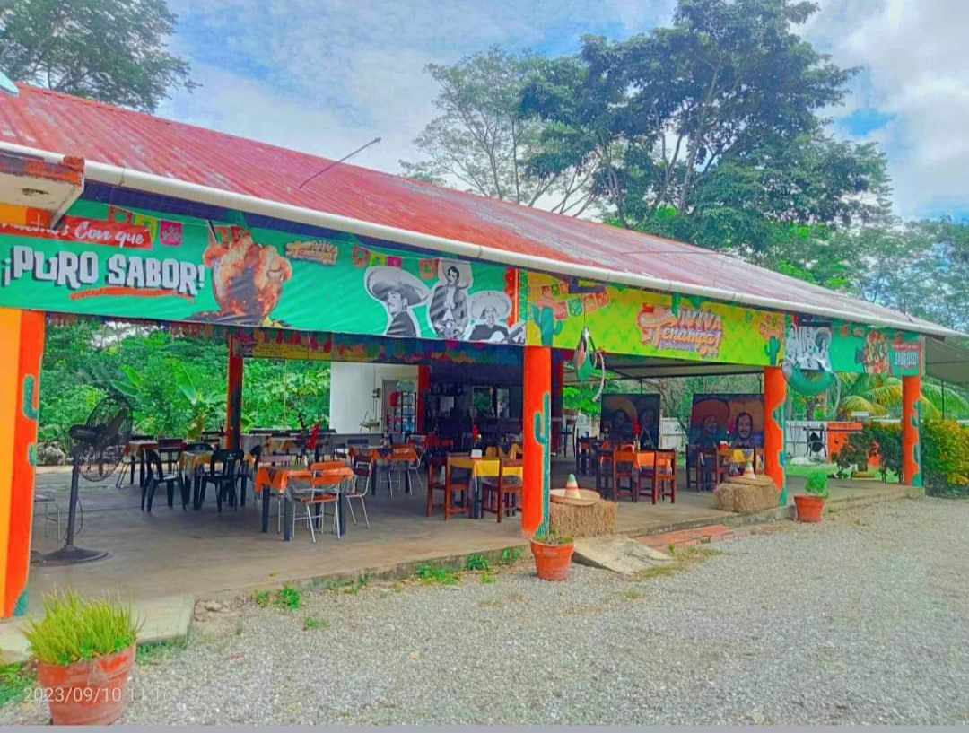 VIVA TENAMPA PICHUCALCO CHIS image 1