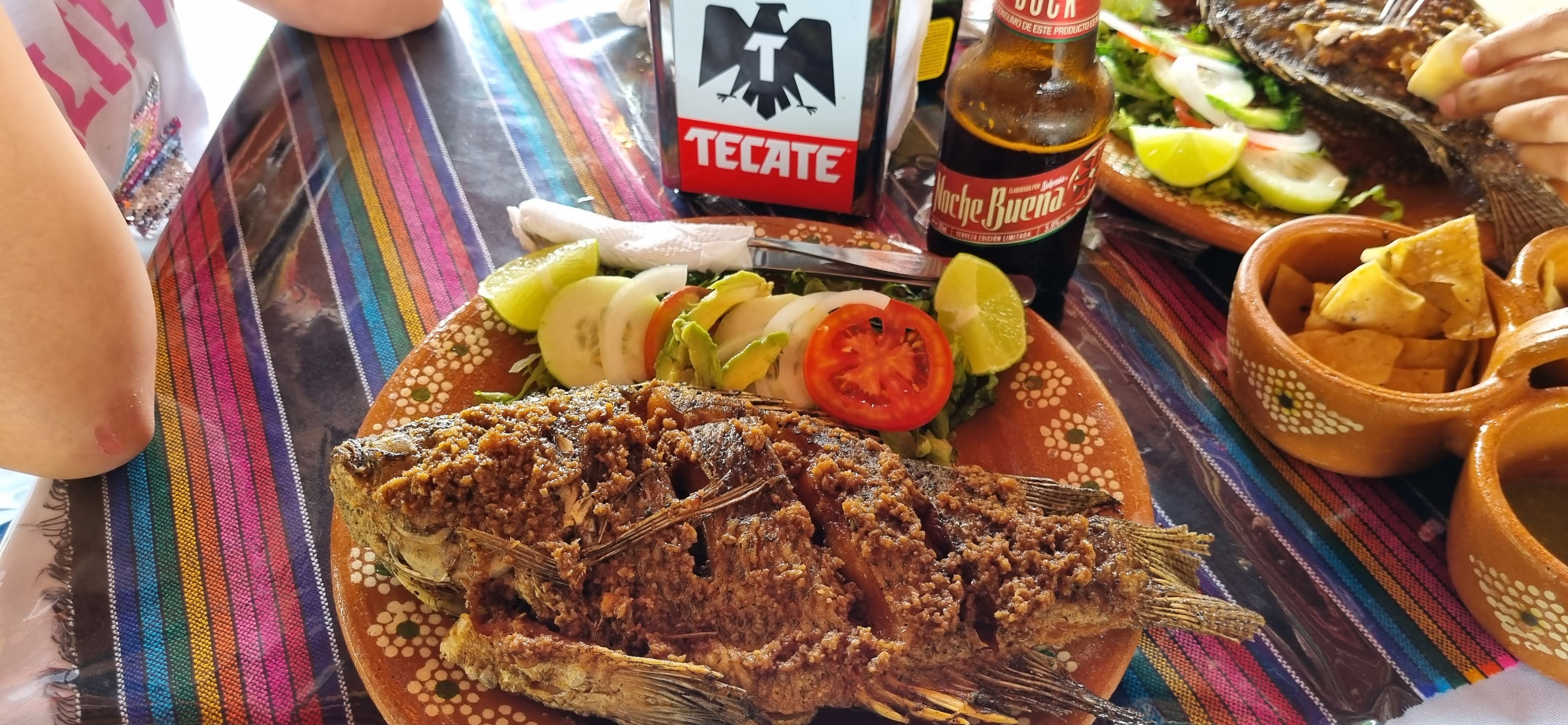 VIVA TENAMPA PICHUCALCO CHIS image 5