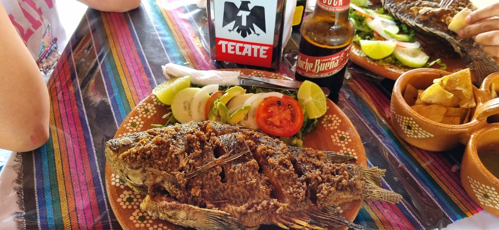 VIVA TENAMPA PICHUCALCO CHIS image 5