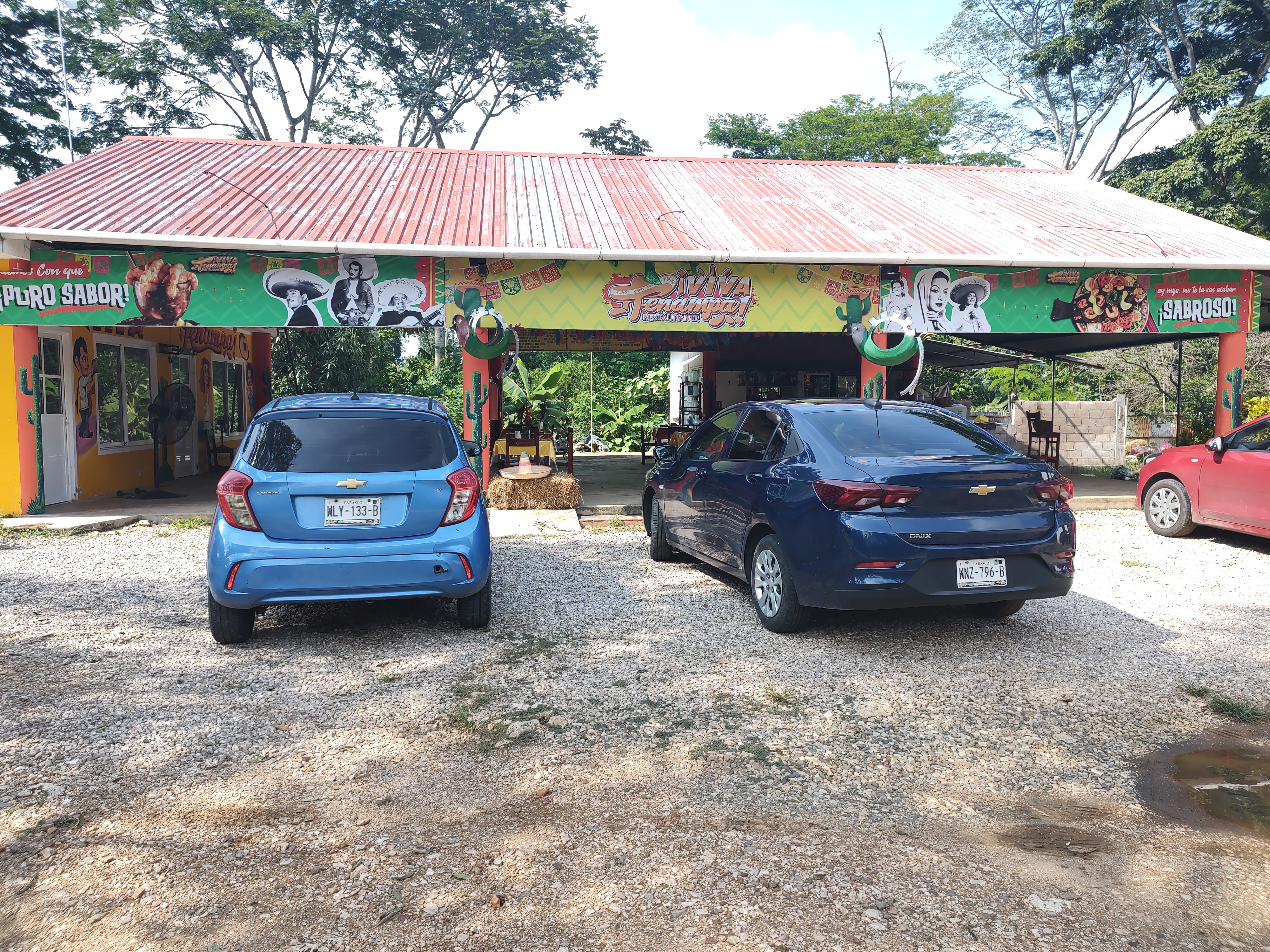 VIVA TENAMPA PICHUCALCO CHIS image 7