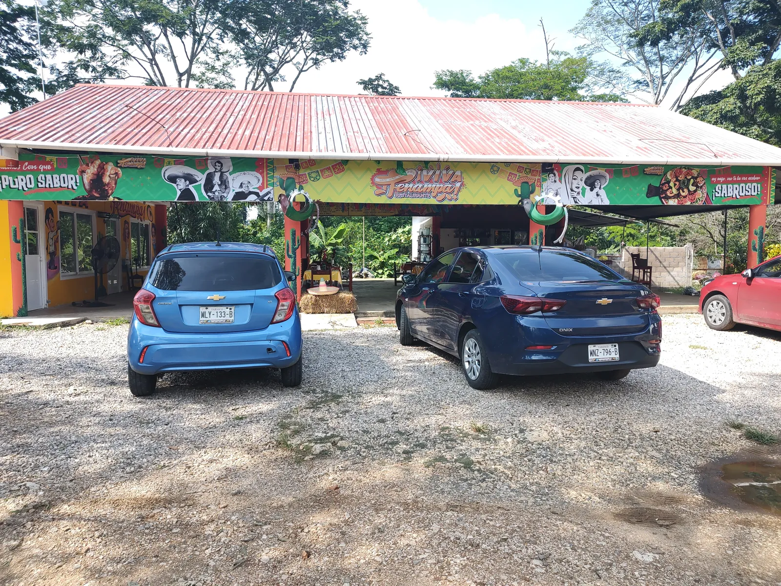 VIVA TENAMPA PICHUCALCO CHIS image 7