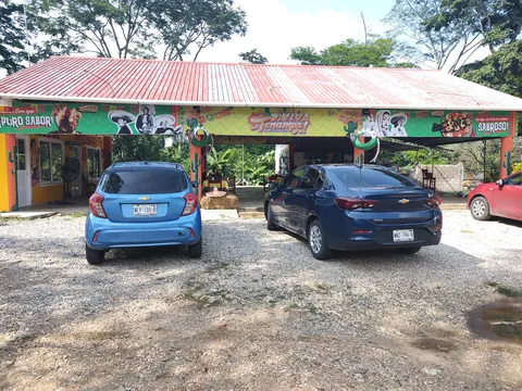 VIVA TENAMPA PICHUCALCO CHIS image 7