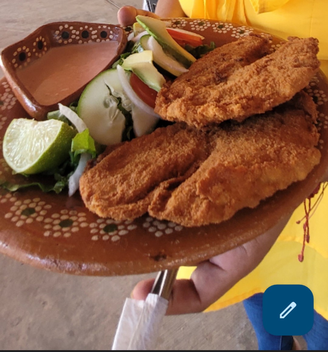 VIVA TENAMPA PICHUCALCO CHIS image 10