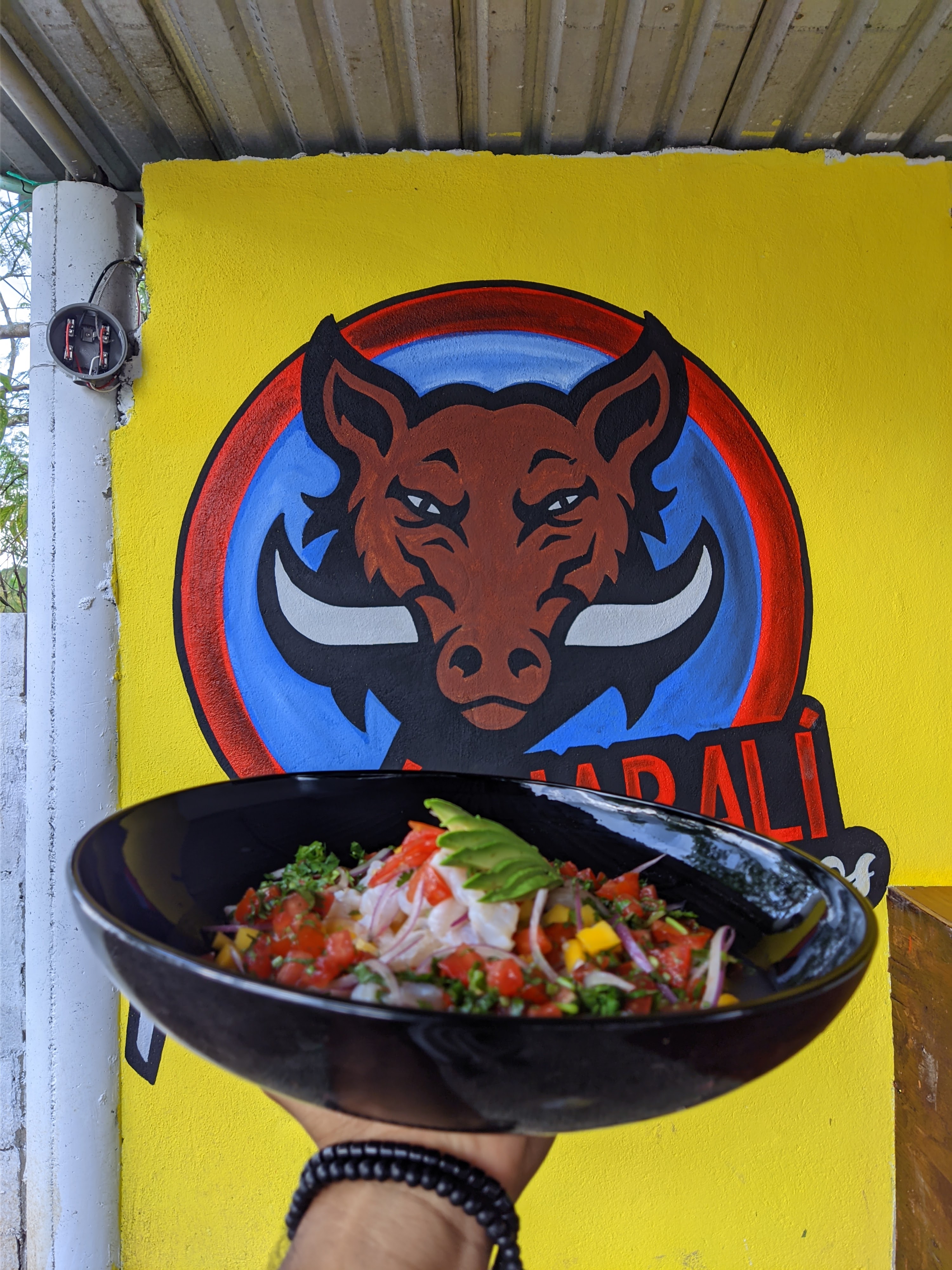 Rincón Jabalí image 3