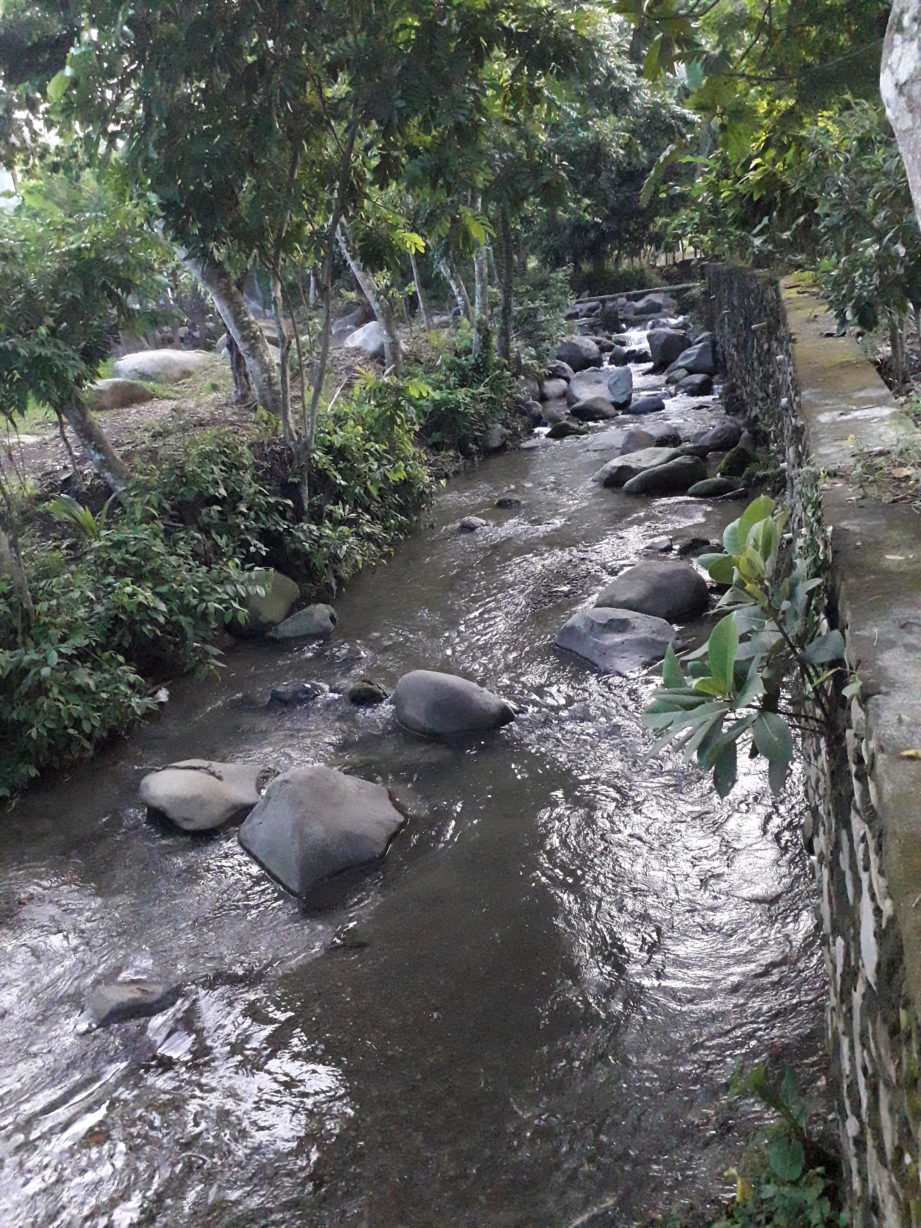 Tlayudas y garnachas image 9