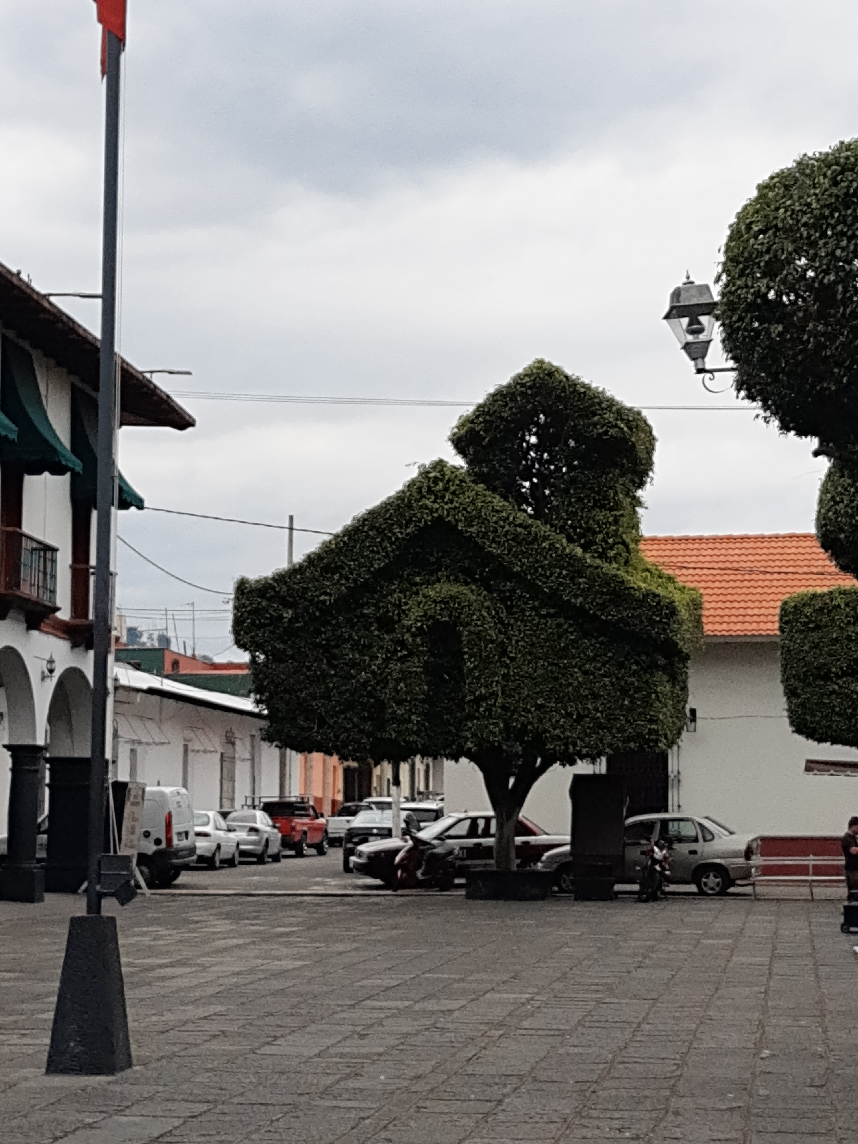 Café Principal image 10