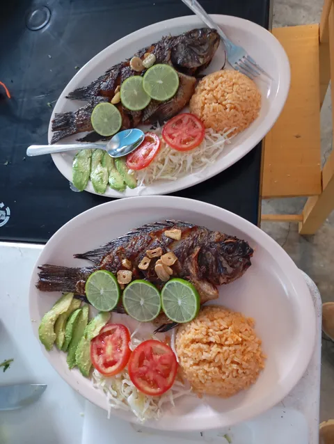 Restaurante "El Tiburón" image 1