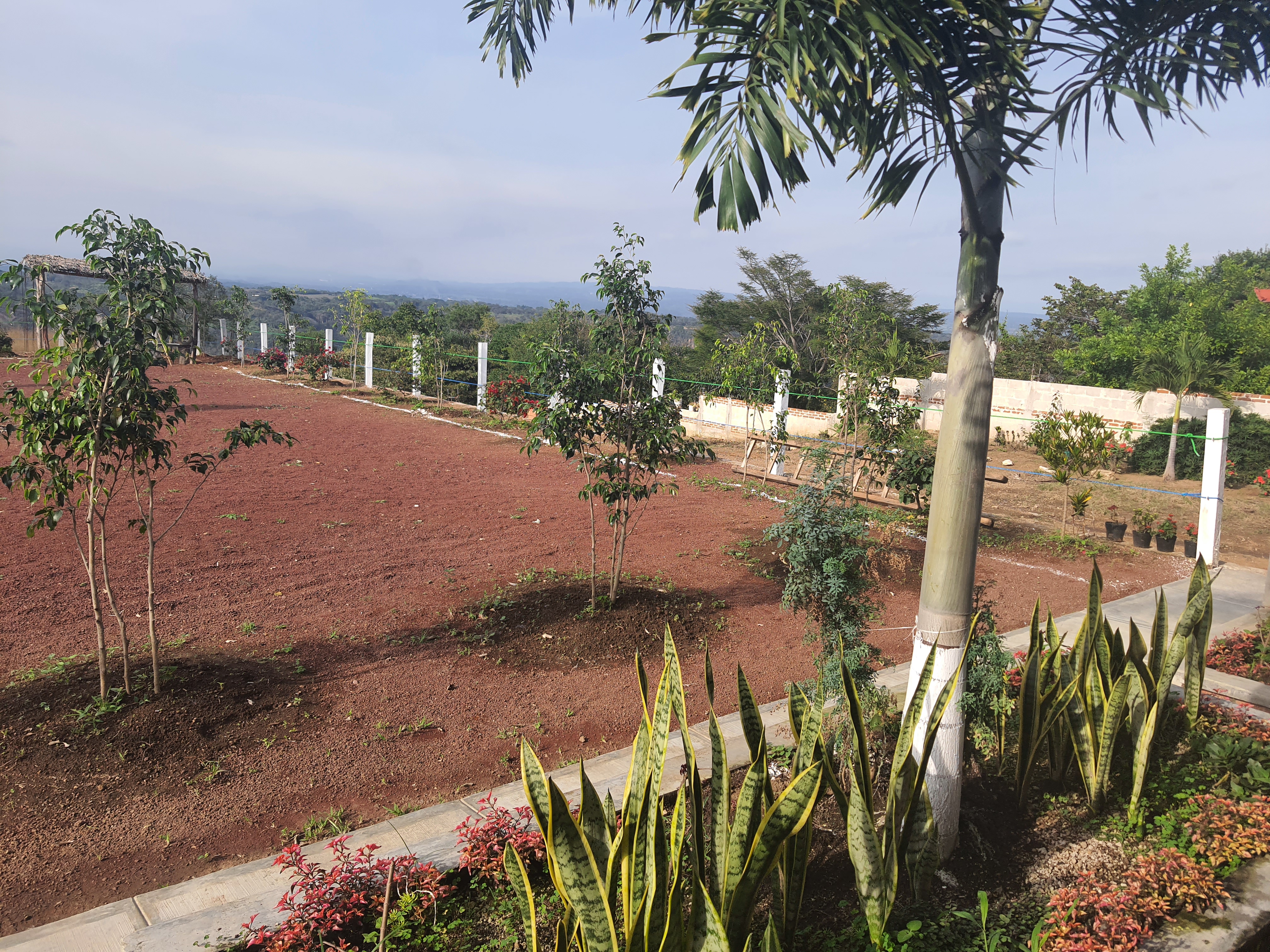 Restaurante "El Mirador" image 9