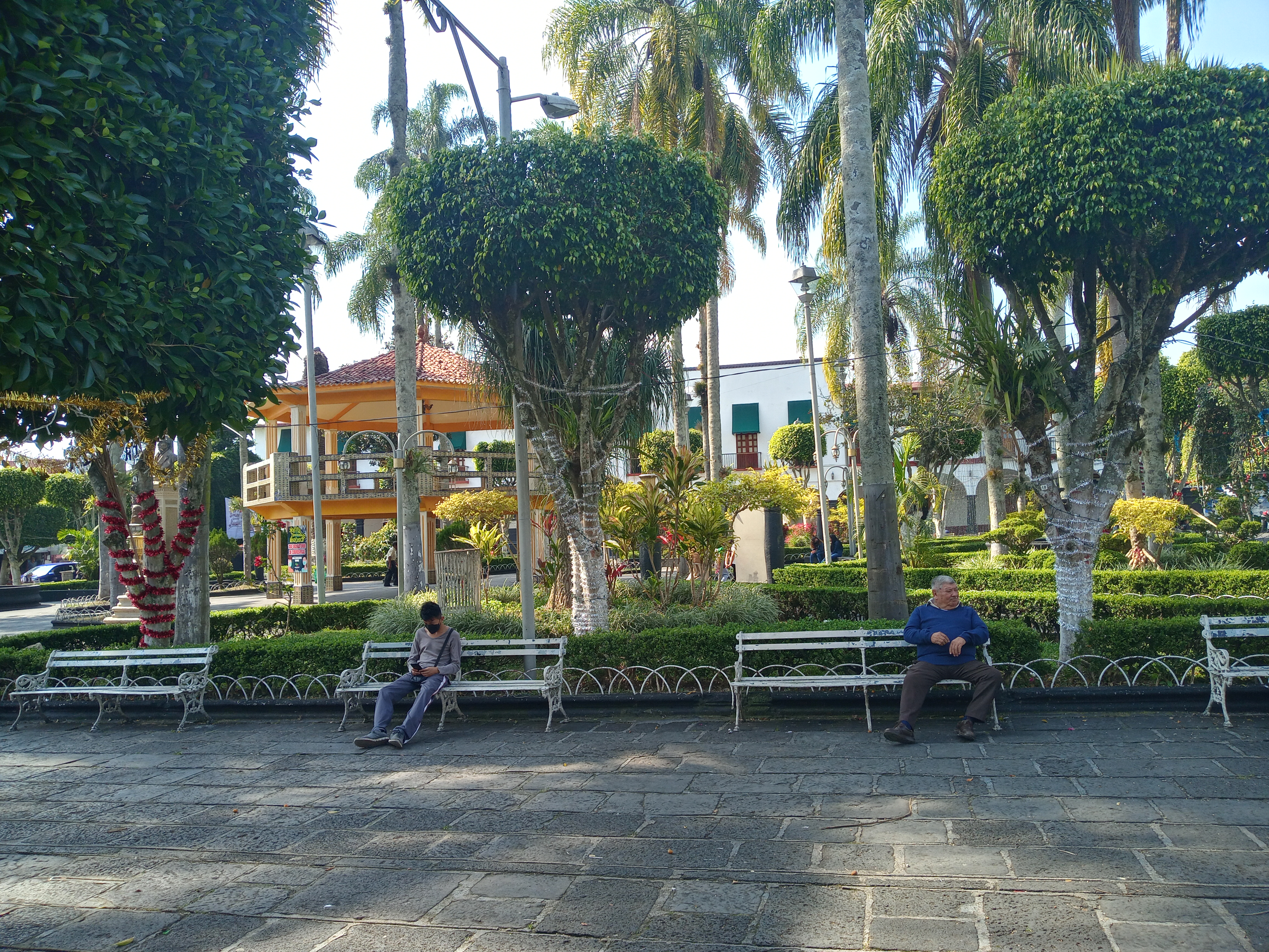 Don Cuco Terrace image 3