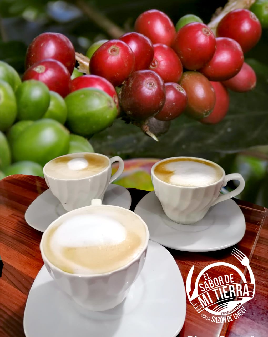 El Sabor De Mi Tierra image 3