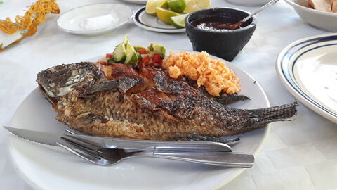 Restaurant "El Rey" image 1