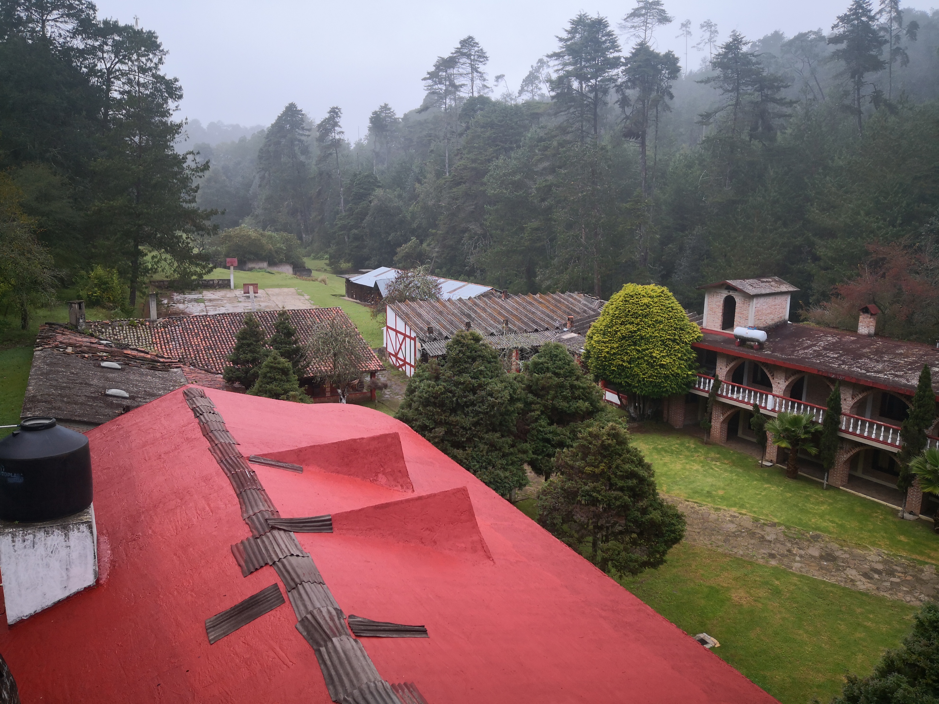 Loncheria image 3