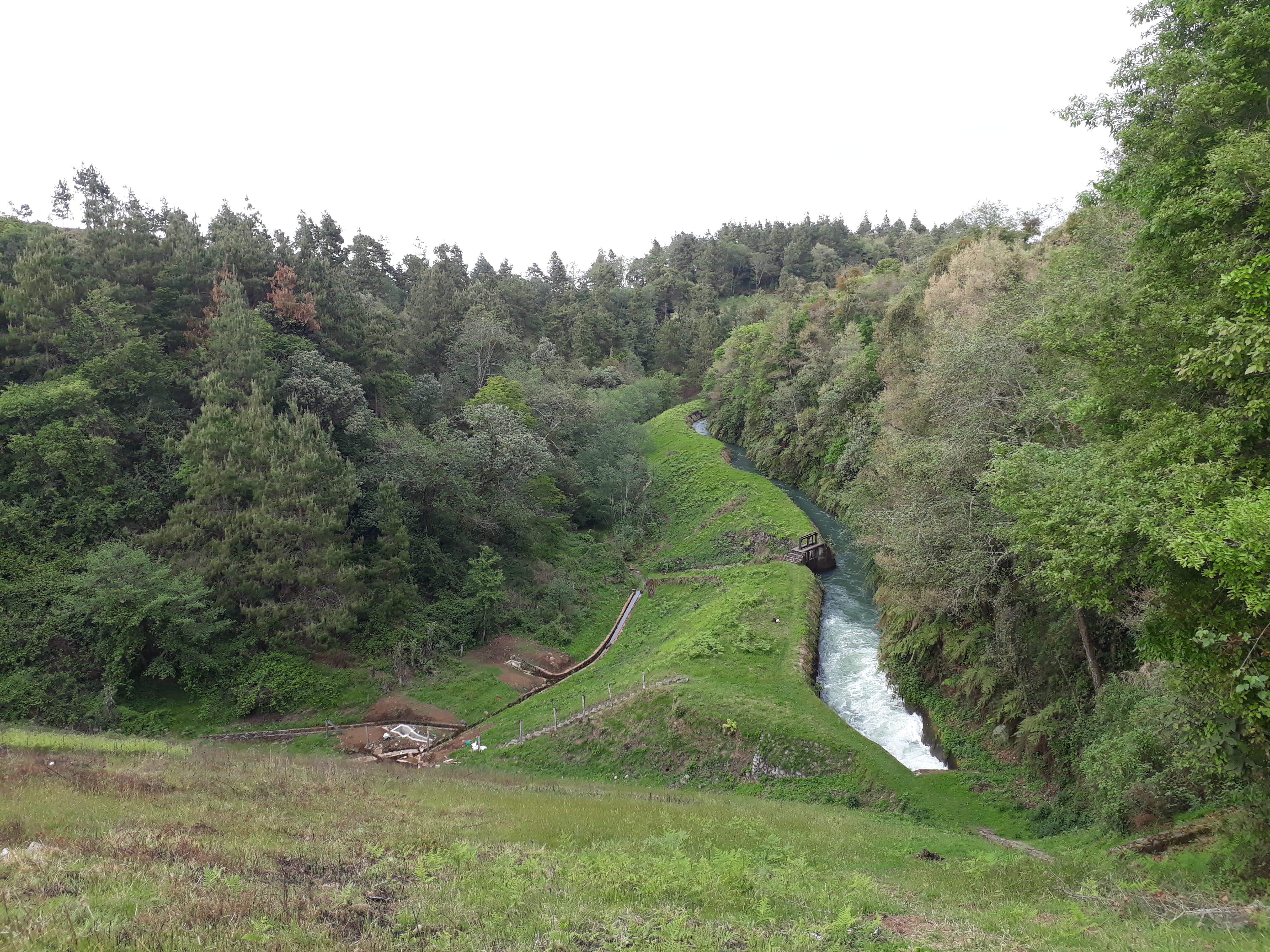 Loncheria image 7