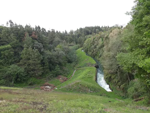 Loncheria image 7