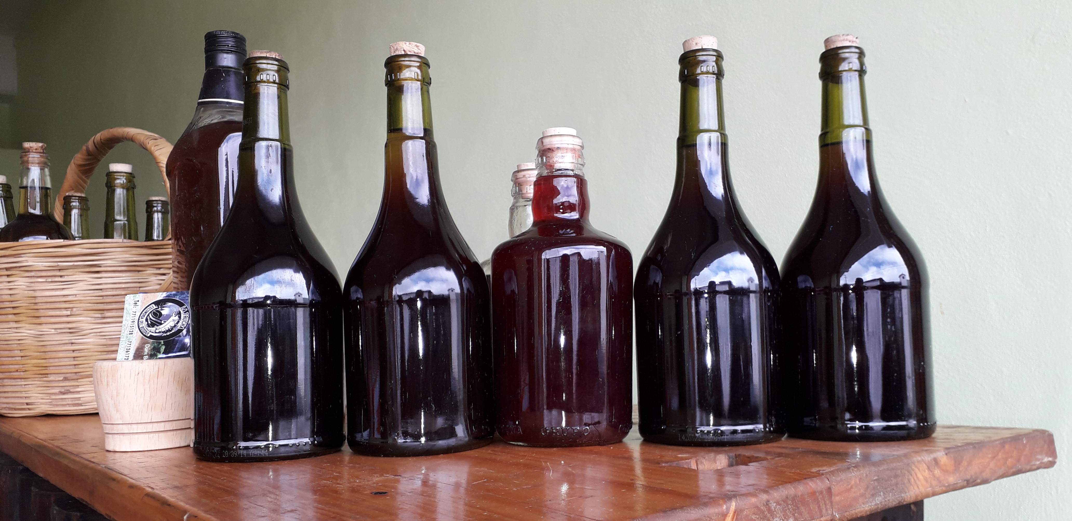 Trucha Escondida del Bosque image 2