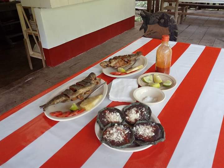 Trucha Escondida del Bosque image 5