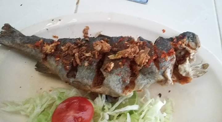 Trucha Escondida del Bosque image 9