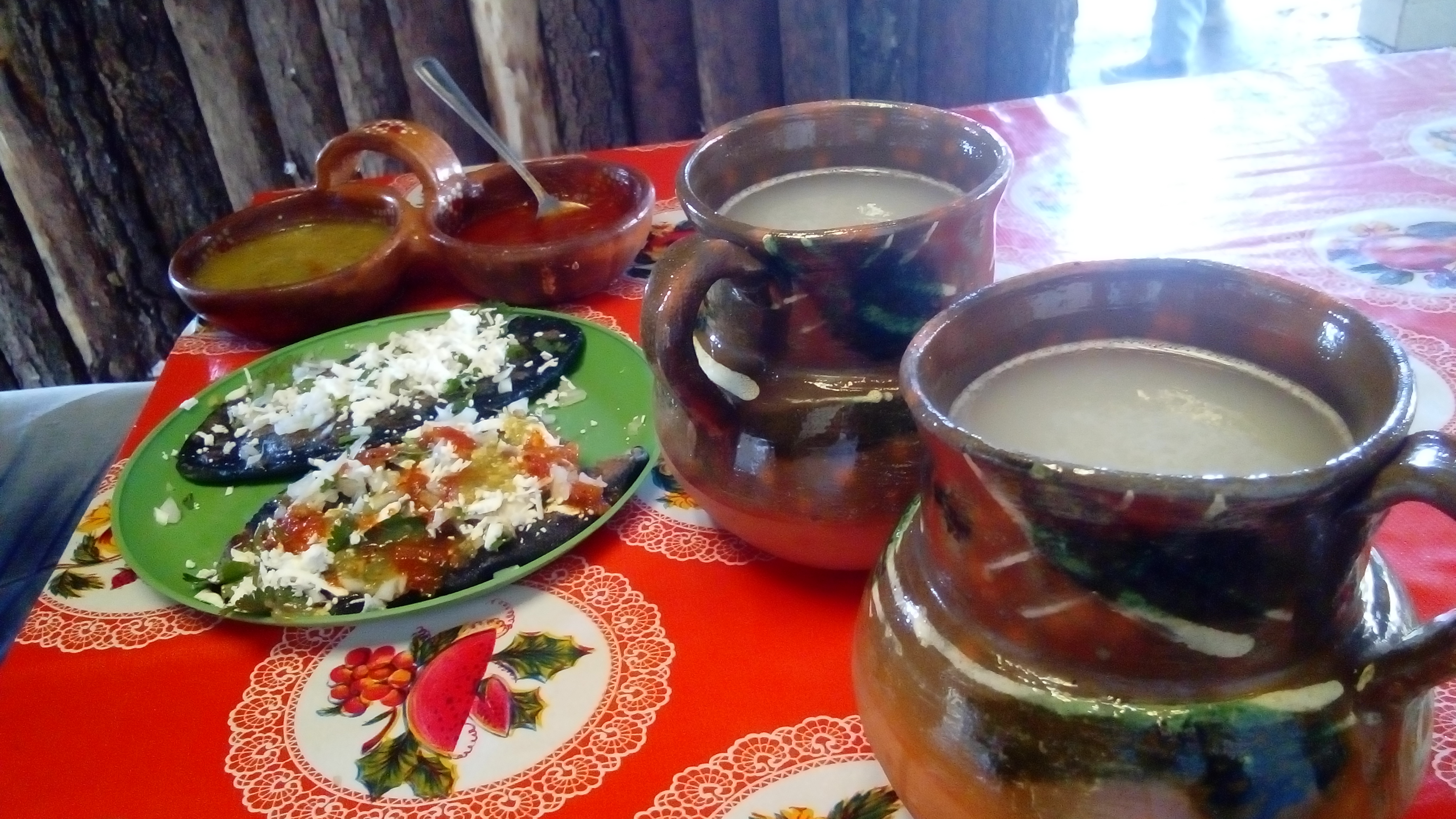 COMIDA REGIONAL Y PULQUE: "EL SAZÓN DE LA ABUELA" image 1