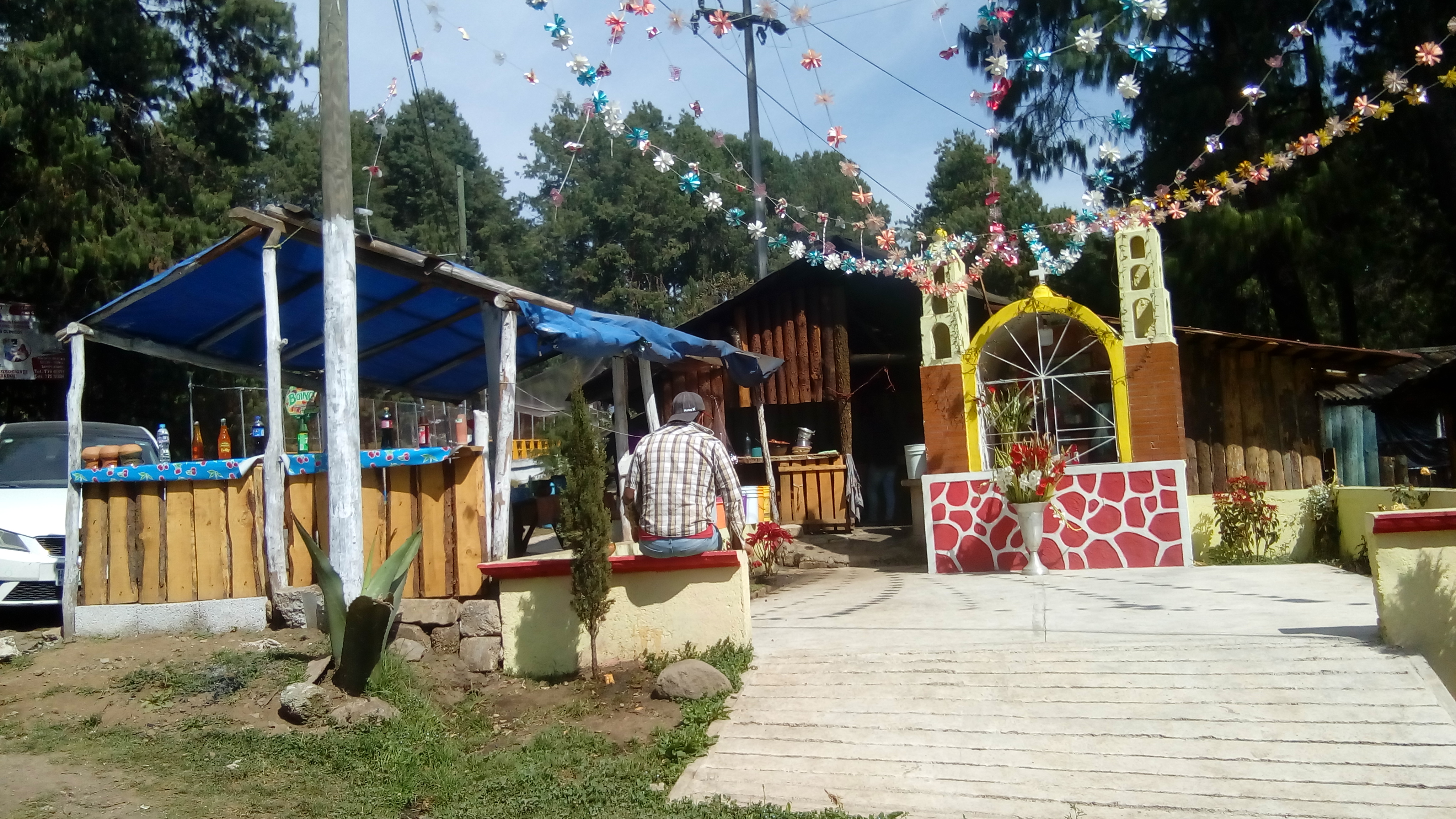 COMIDA REGIONAL Y PULQUE: "EL SAZÓN DE LA ABUELA" image 2