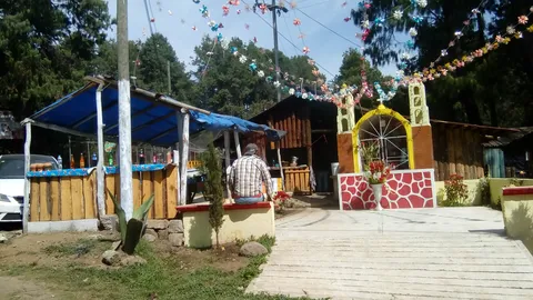 COMIDA REGIONAL Y PULQUE: "EL SAZÓN DE LA ABUELA" image 2