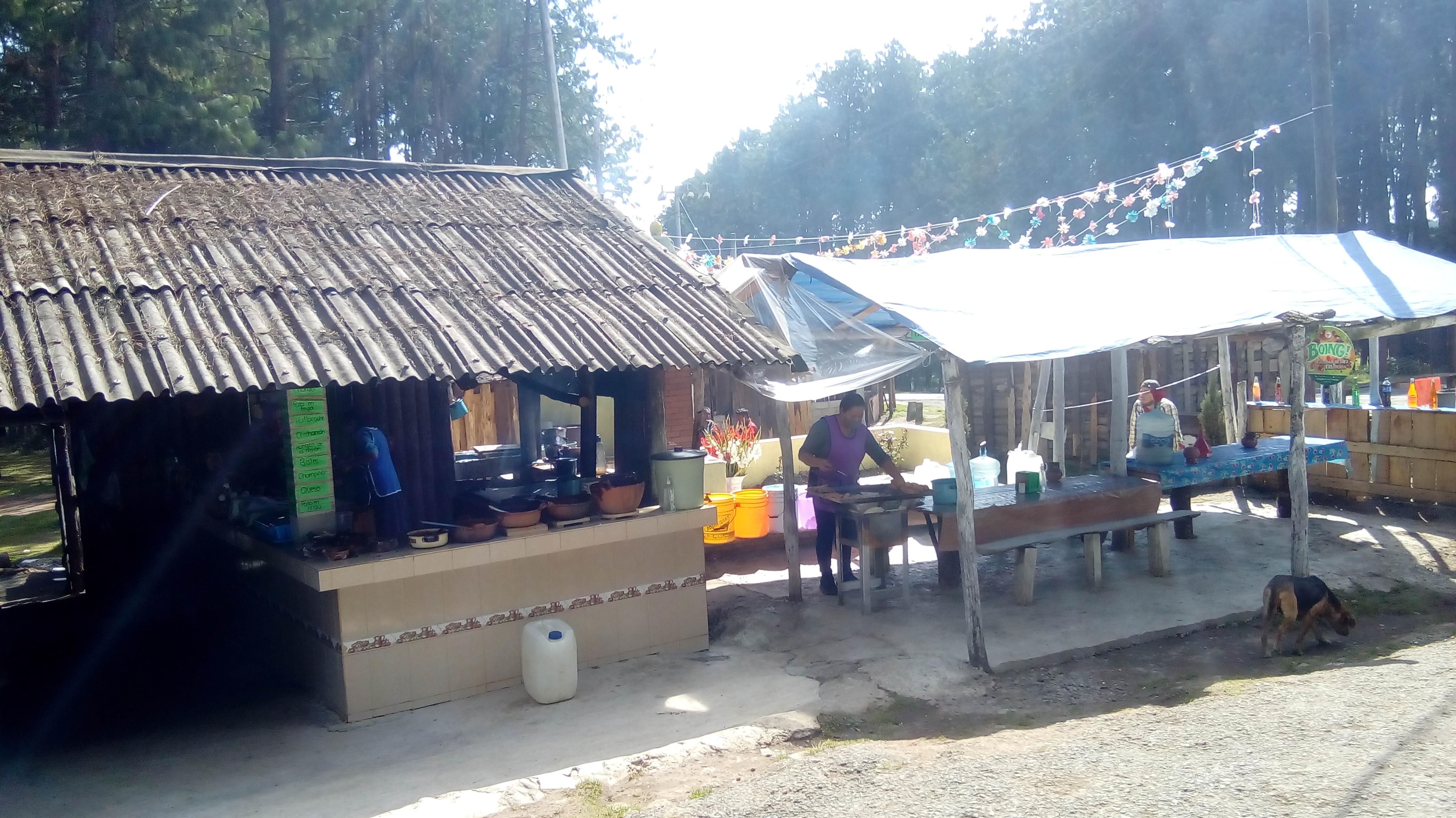 COMIDA REGIONAL Y PULQUE: "EL SAZÓN DE LA ABUELA" image 3