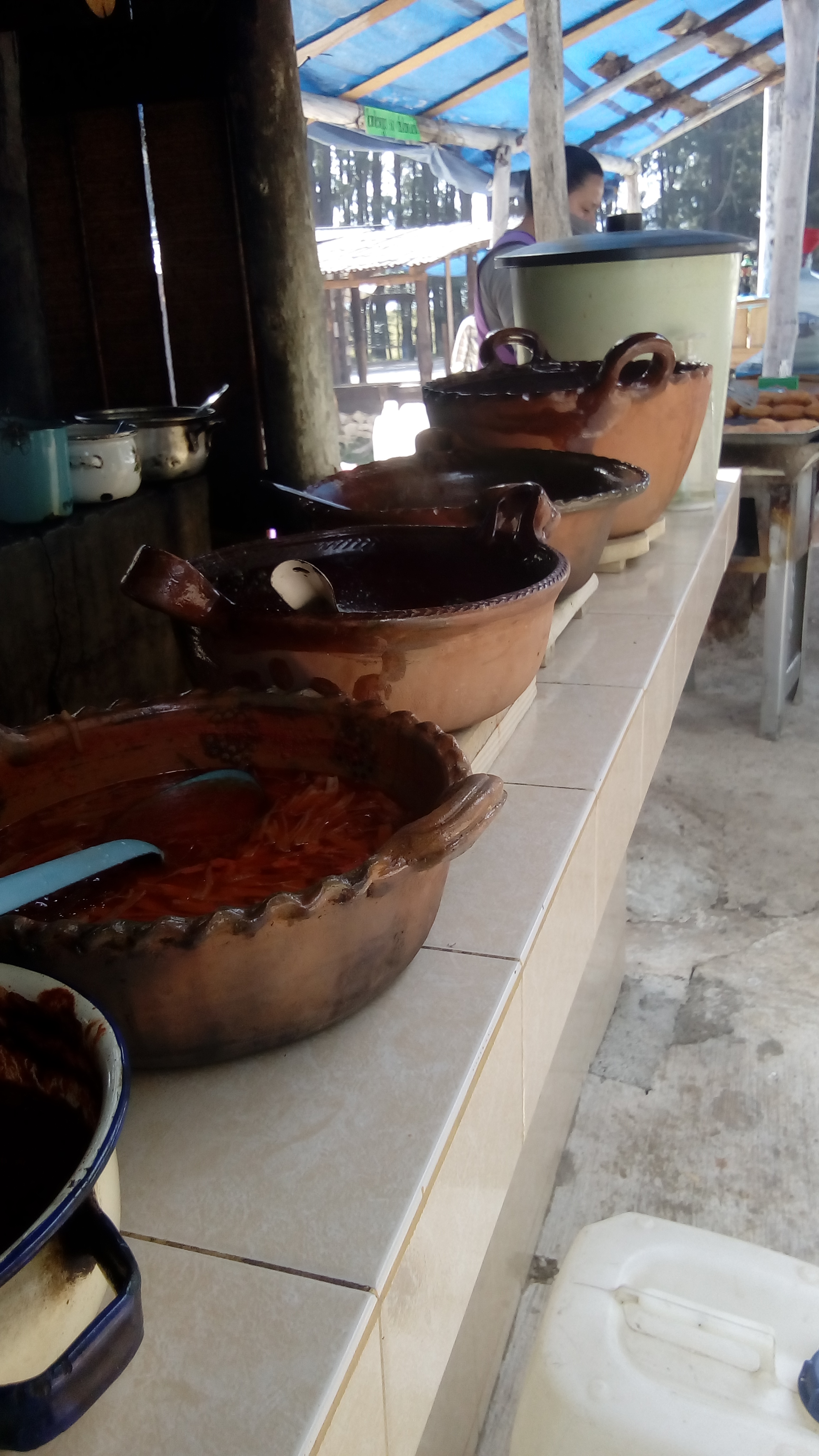 COMIDA REGIONAL Y PULQUE: "EL SAZÓN DE LA ABUELA" image 5