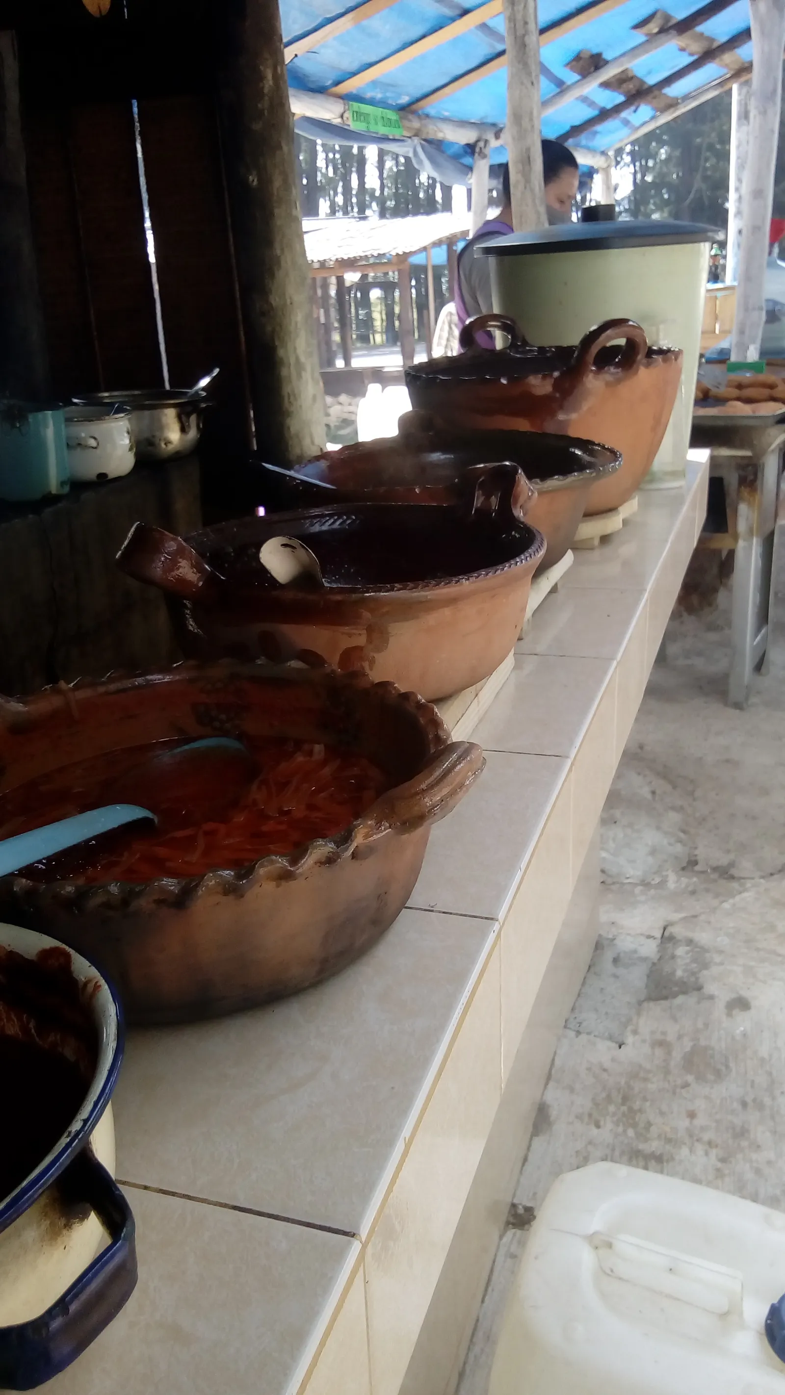 COMIDA REGIONAL Y PULQUE: "EL SAZÓN DE LA ABUELA" image 5