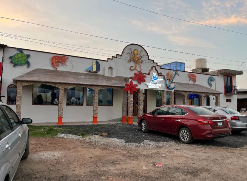 Mar de Cortés image 5