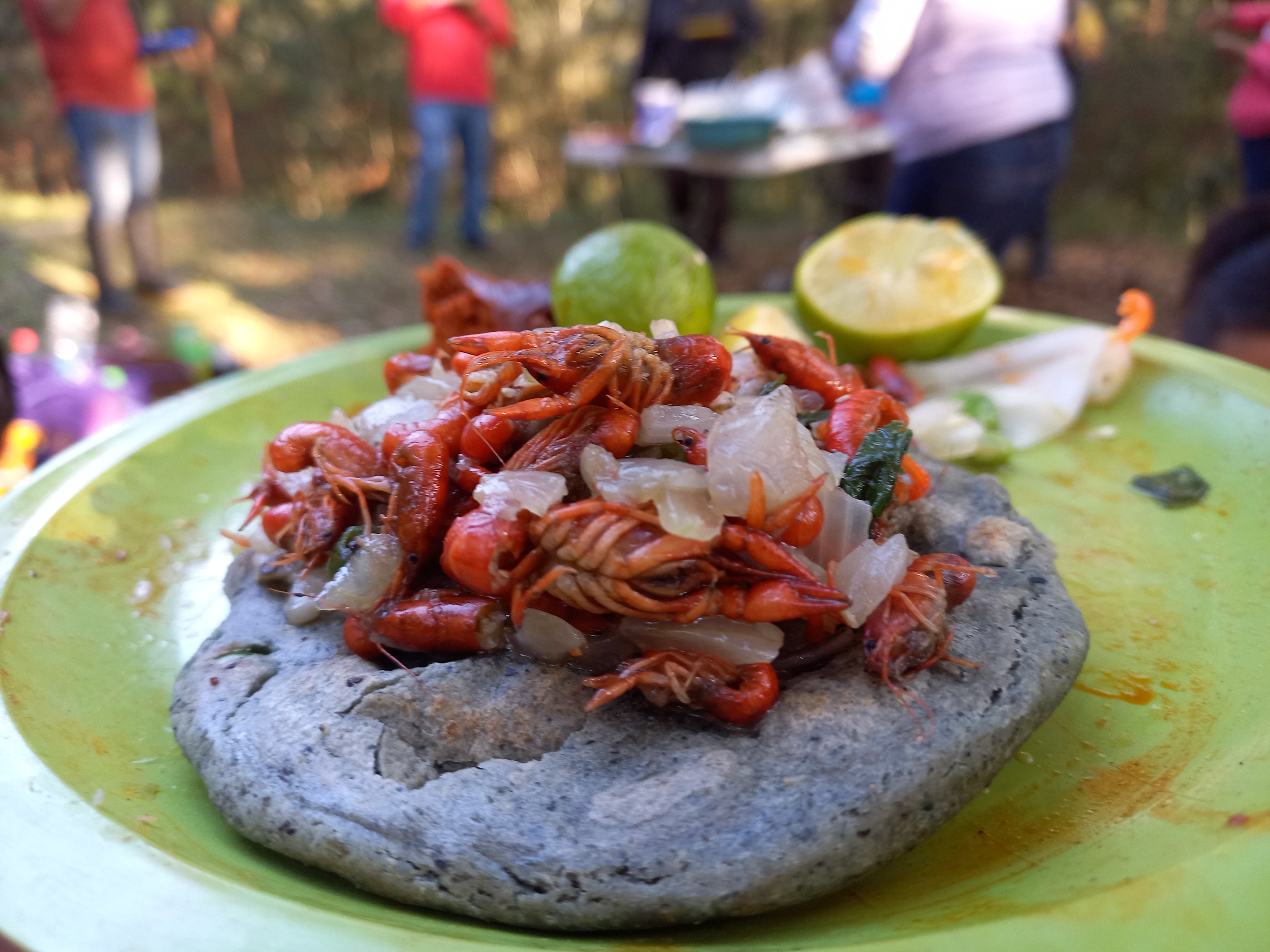 Truchas Los maclovios image 4