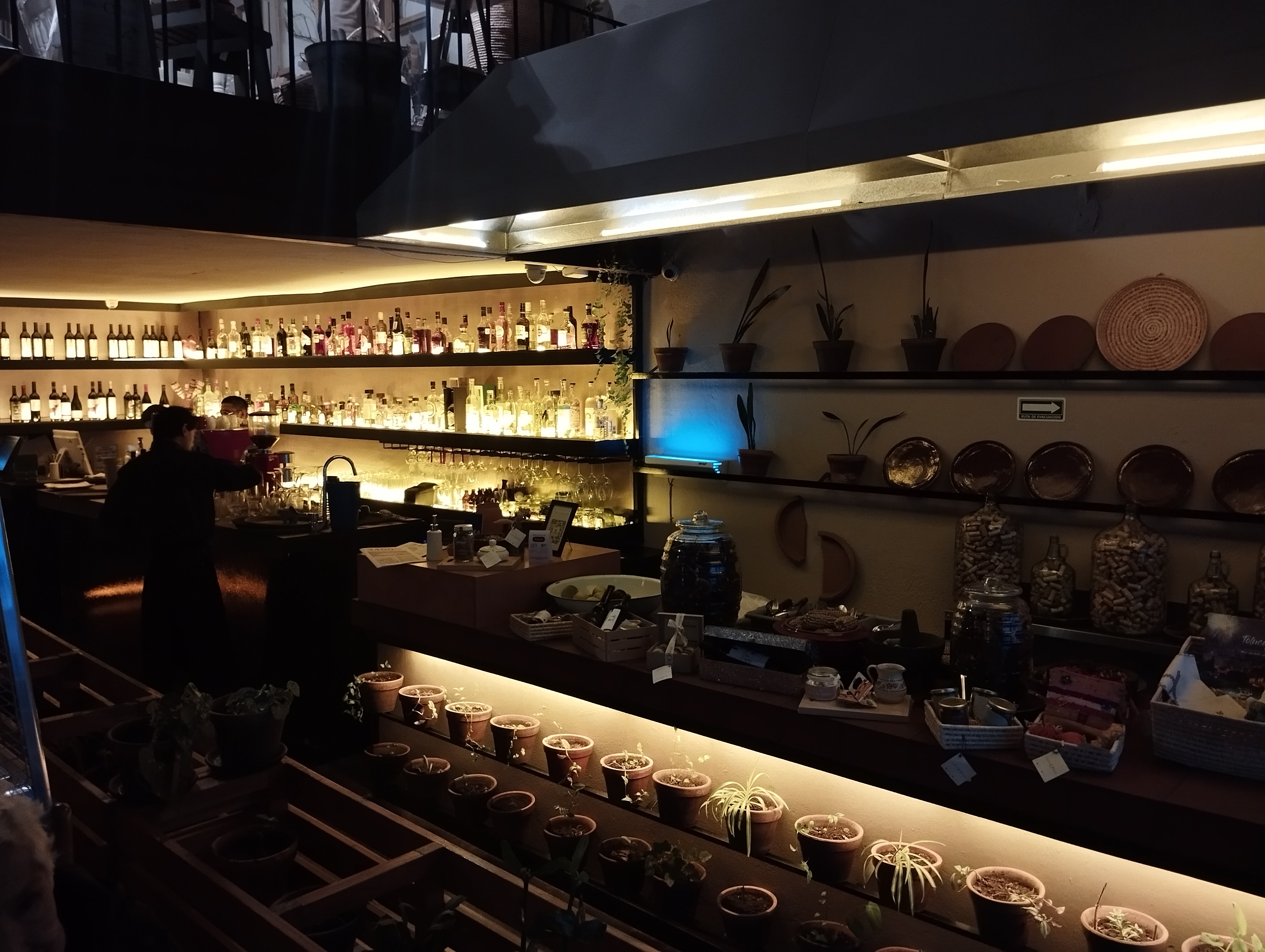 Restaurante Apapacho Toluca image 4