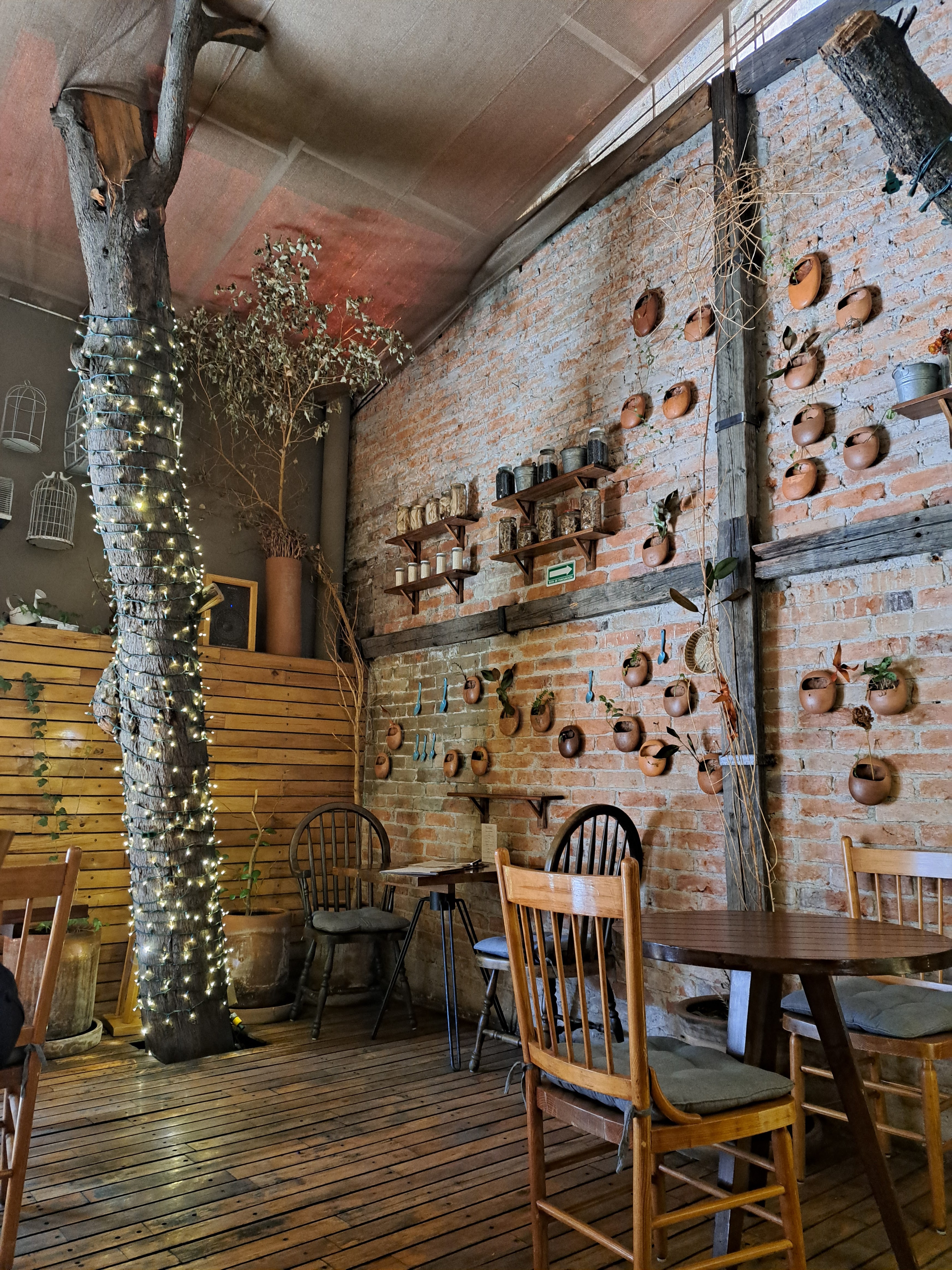 Restaurante Apapacho Toluca image 9