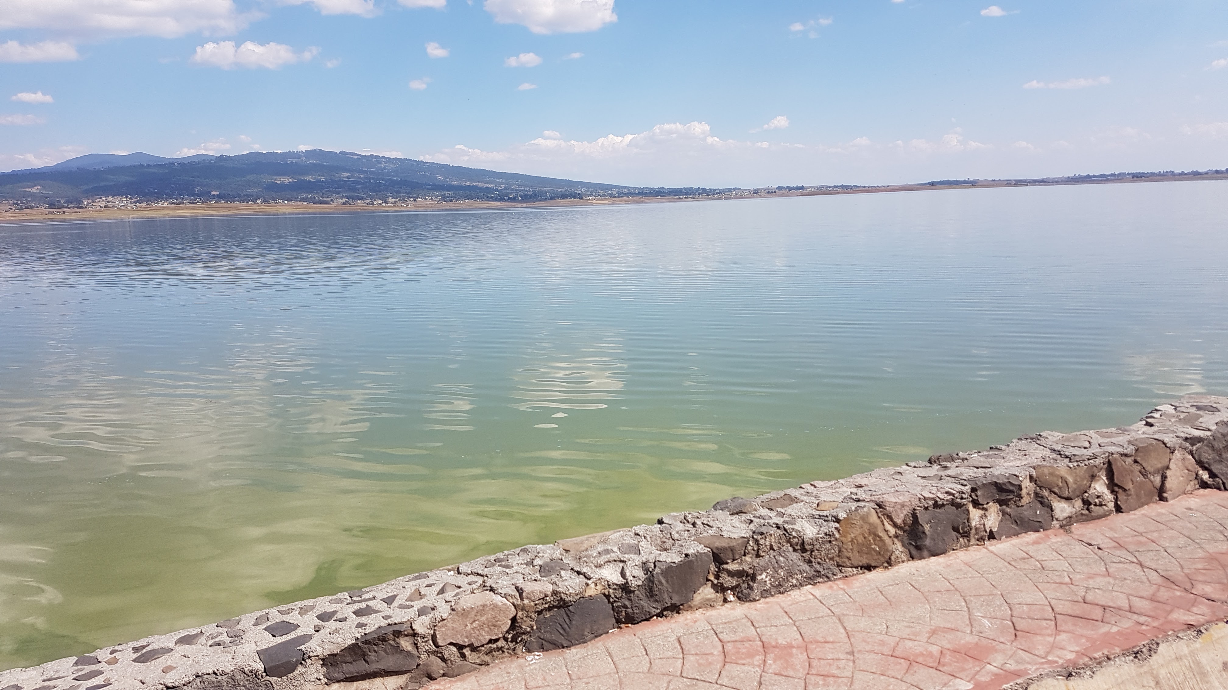 Restaurante Revolución image 7