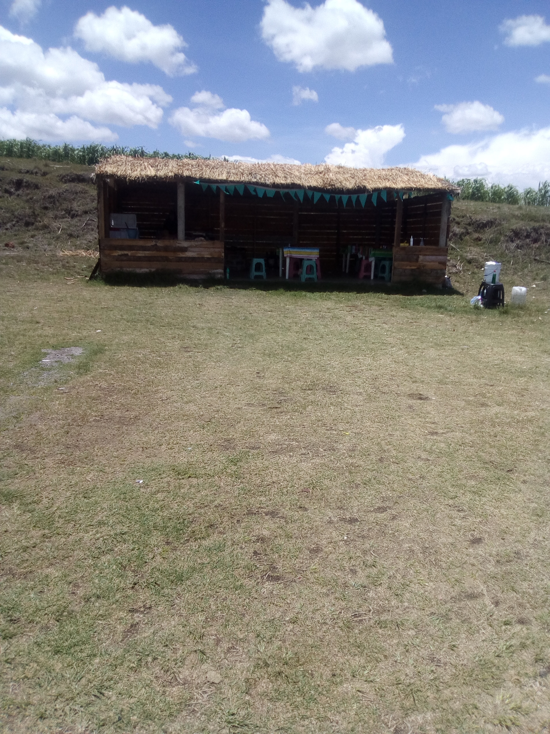 Rica Barbacoa De Puerco El Tio Beni image 3