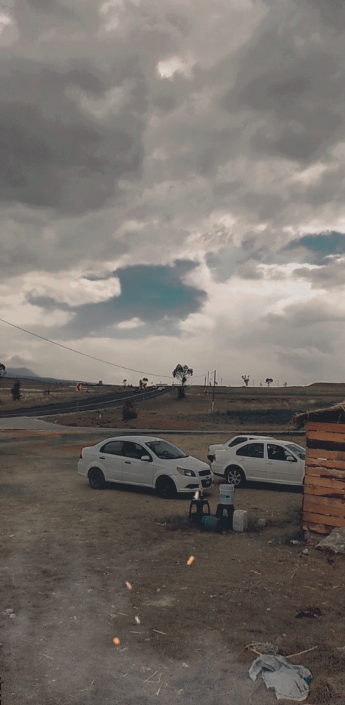 Rica Barbacoa De Puerco El Tio Beni image 9