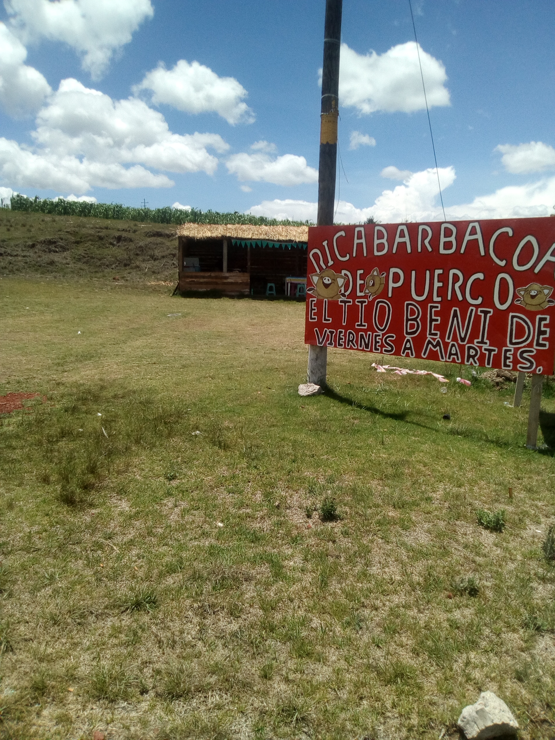 Rica Barbacoa De Puerco El Tio Beni image 10