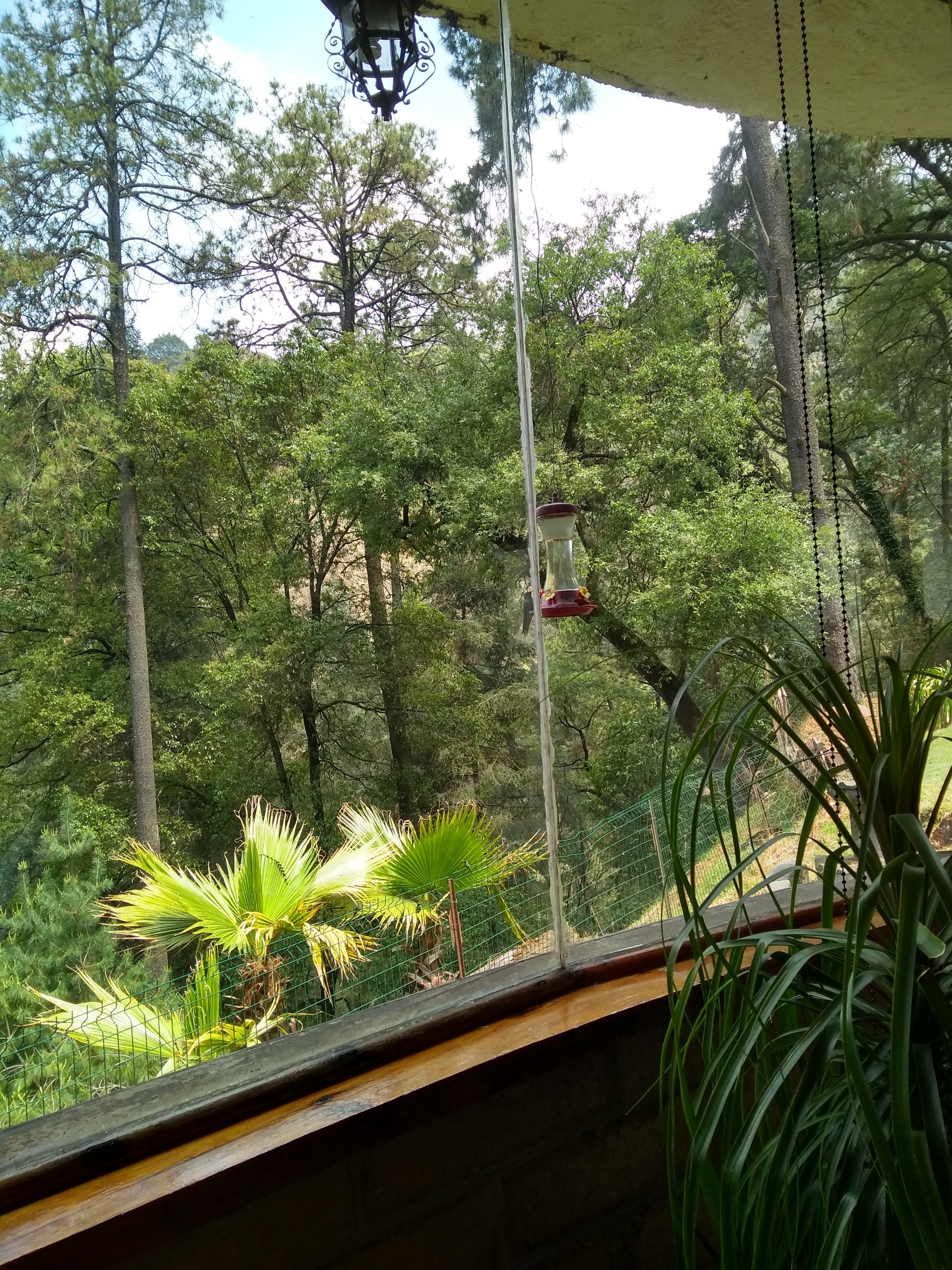 El Refugio del Bosque image 5