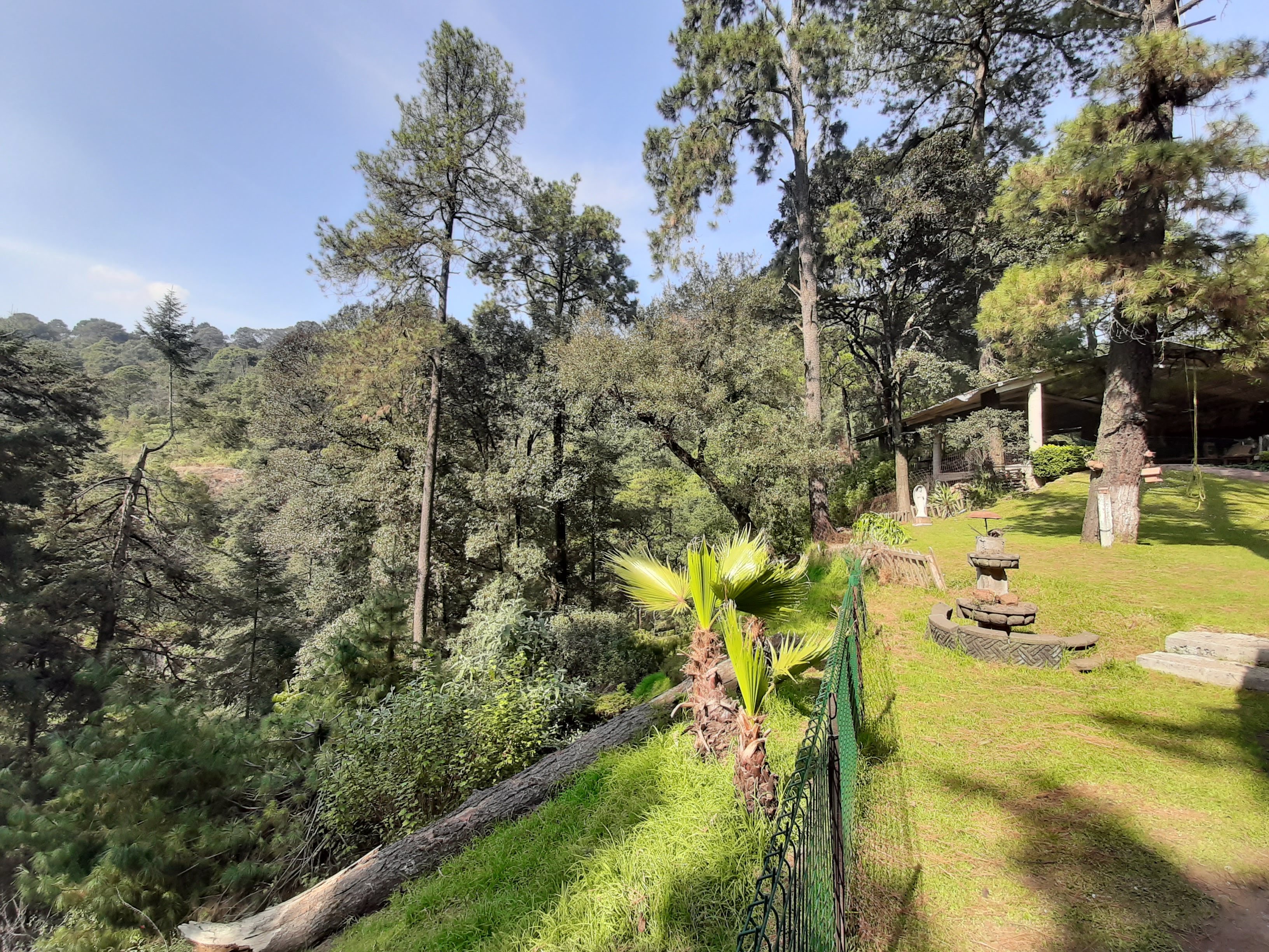 El Refugio del Bosque image 7