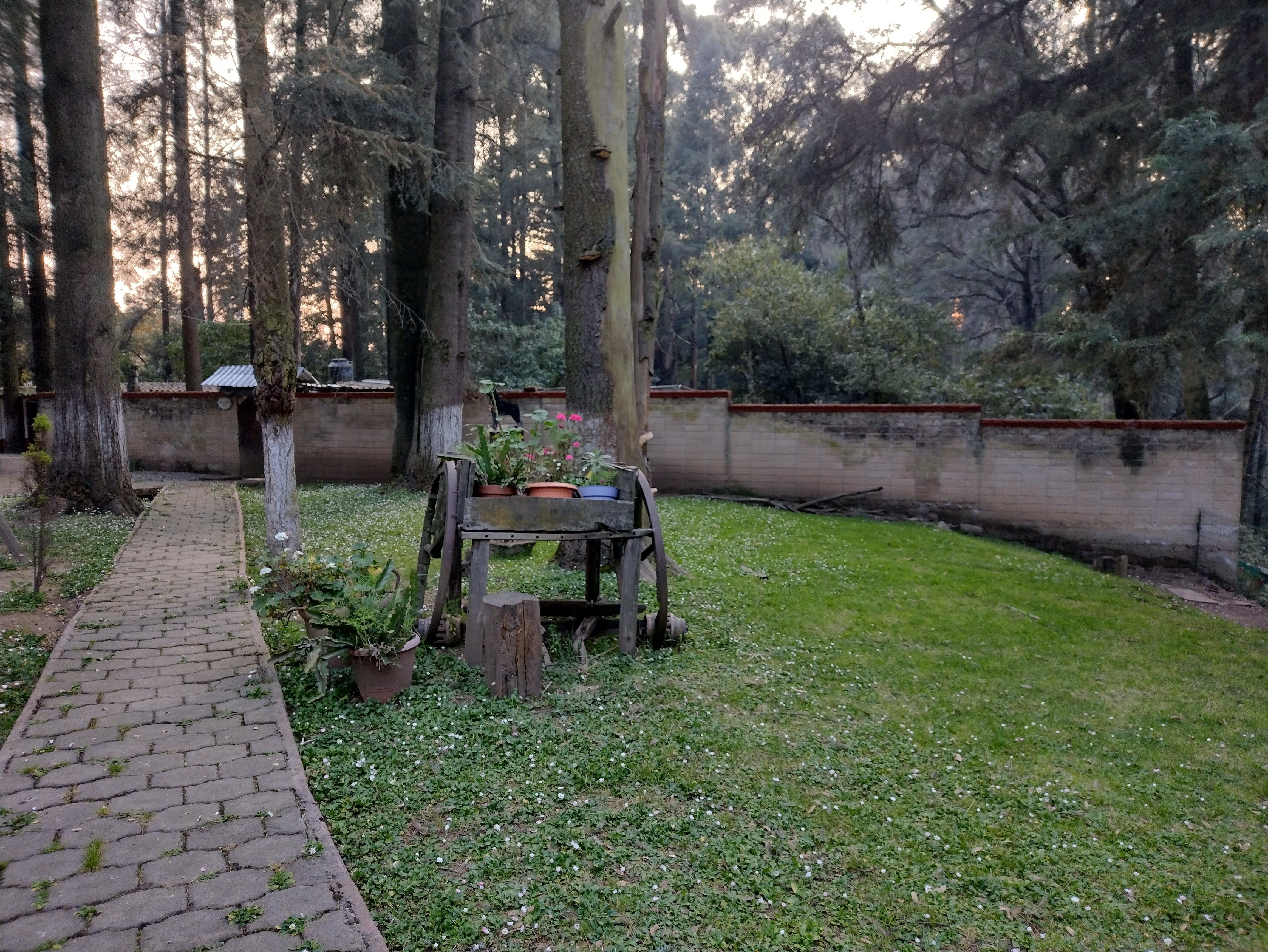 El Refugio del Bosque image 8