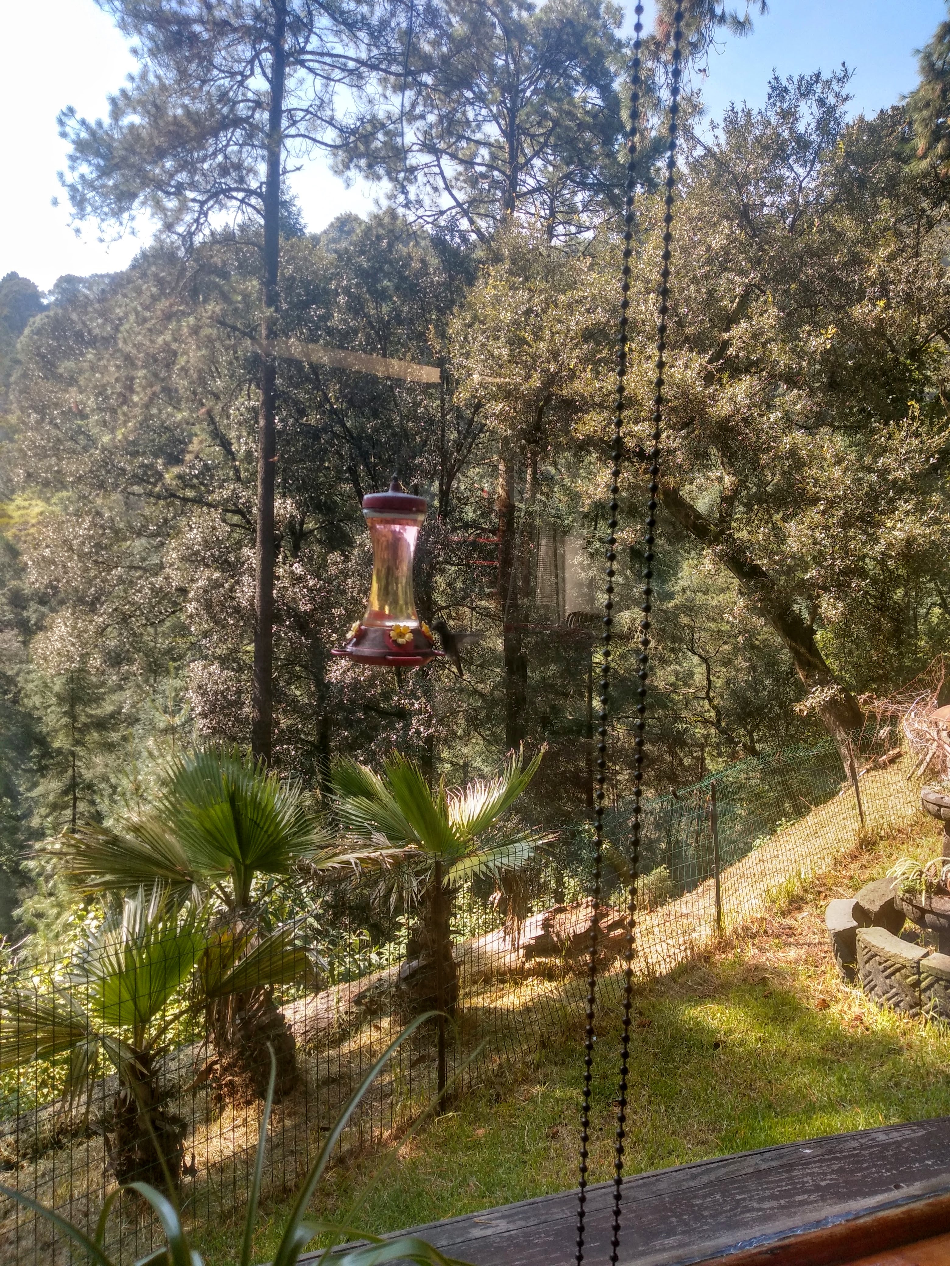 El Refugio del Bosque image 9