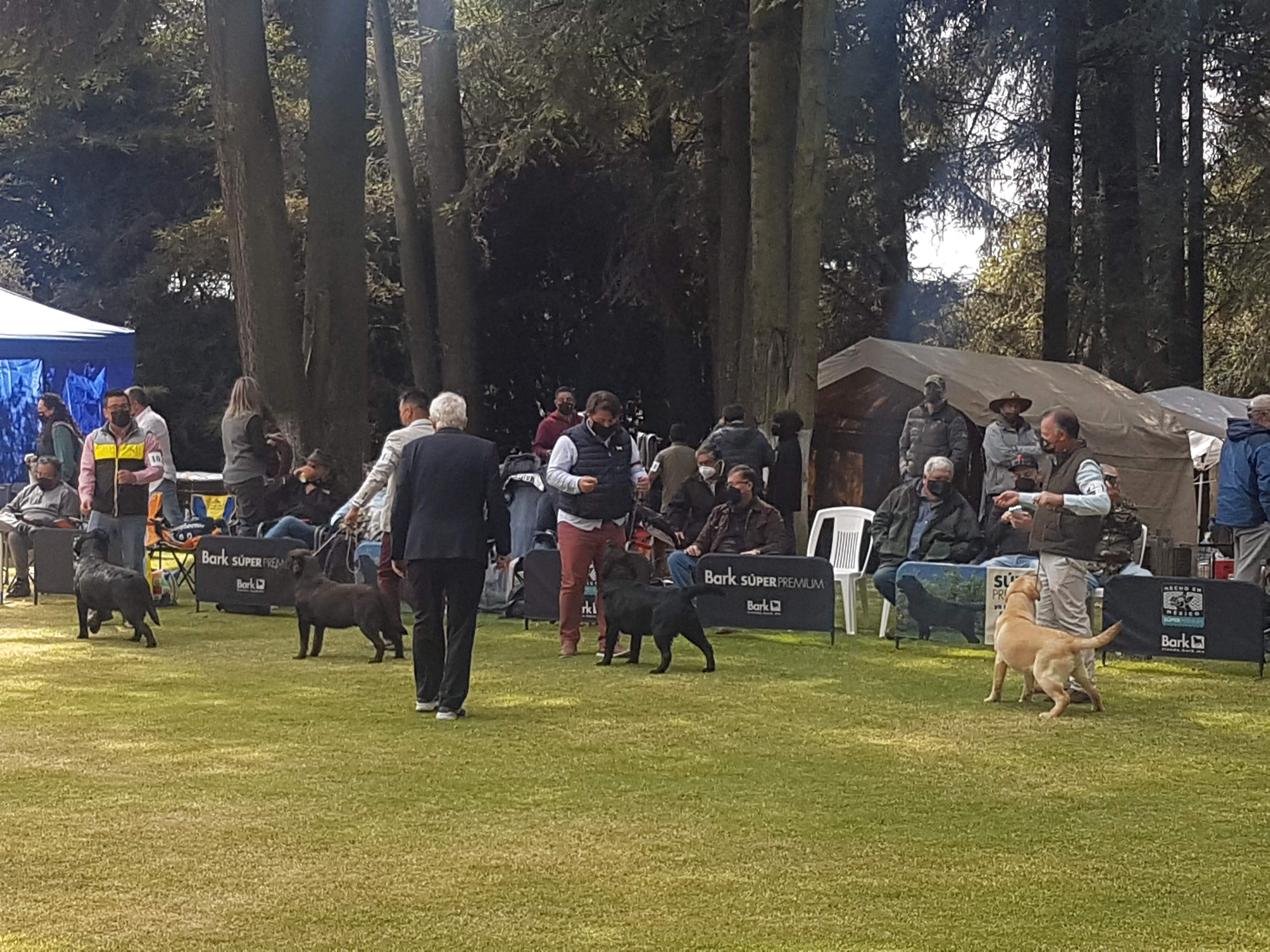 El Refugio del Bosque image 10