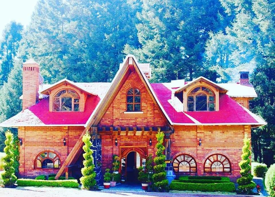 Restaurante Los Pinos image 5