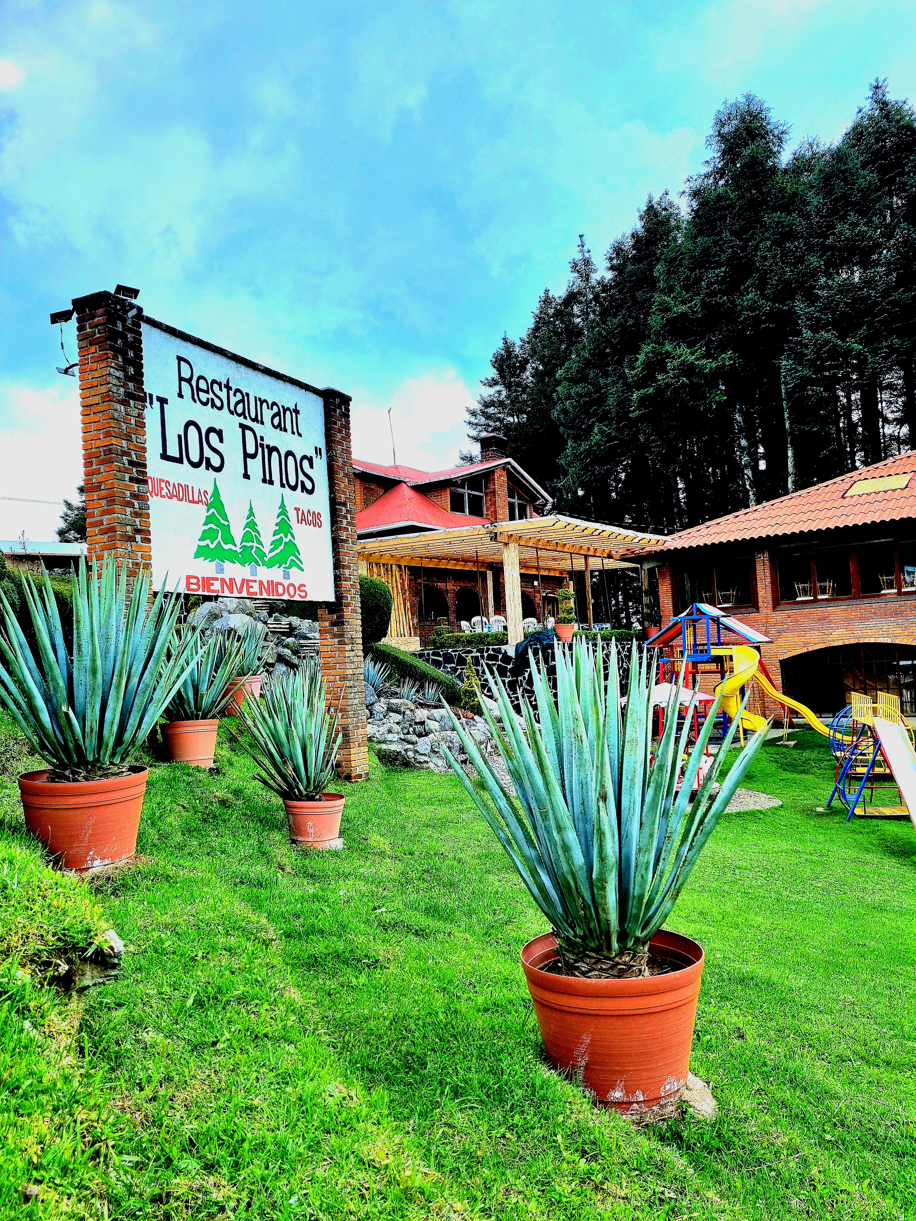 Restaurante Los Pinos image 8