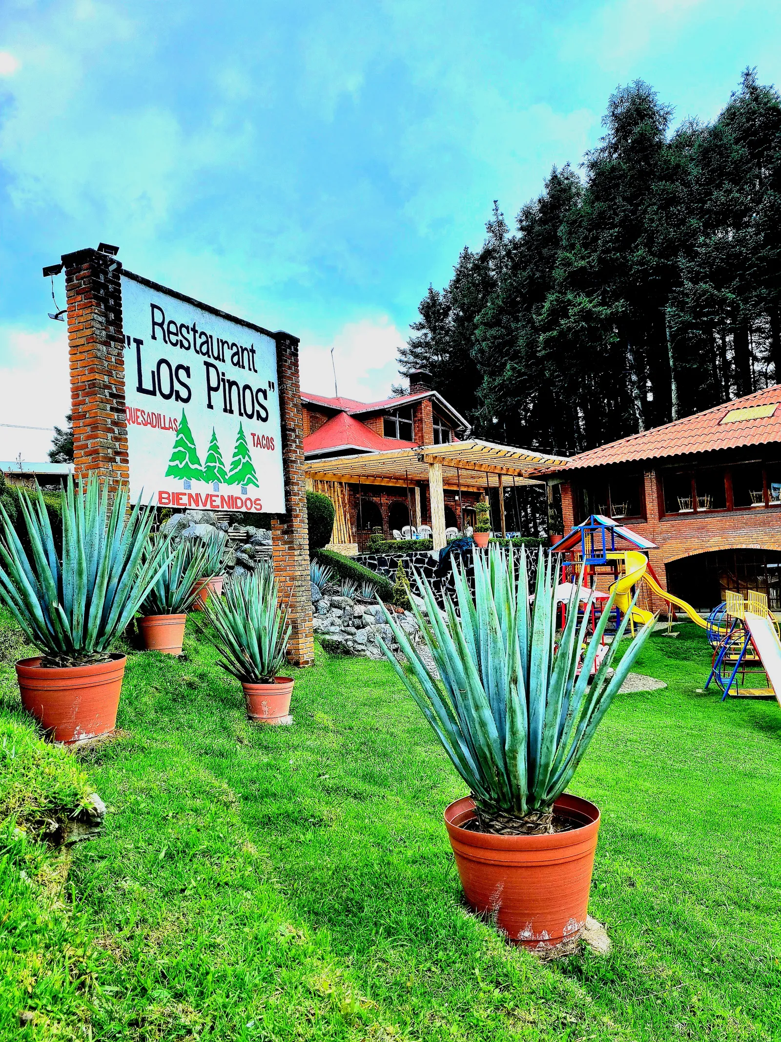 Restaurante Los Pinos image 8