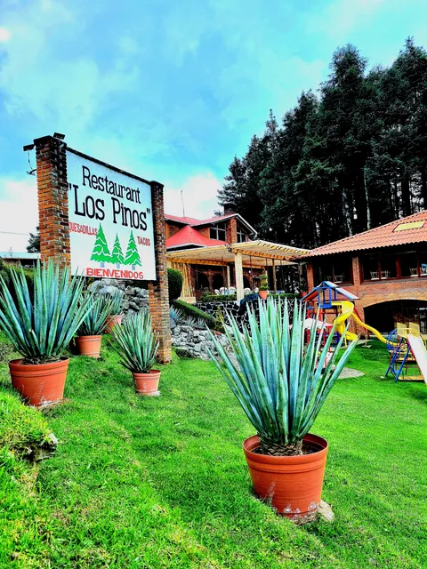 Restaurante Los Pinos image 8