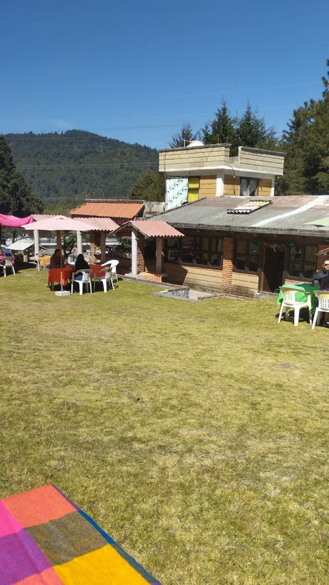 Magueyal image 7